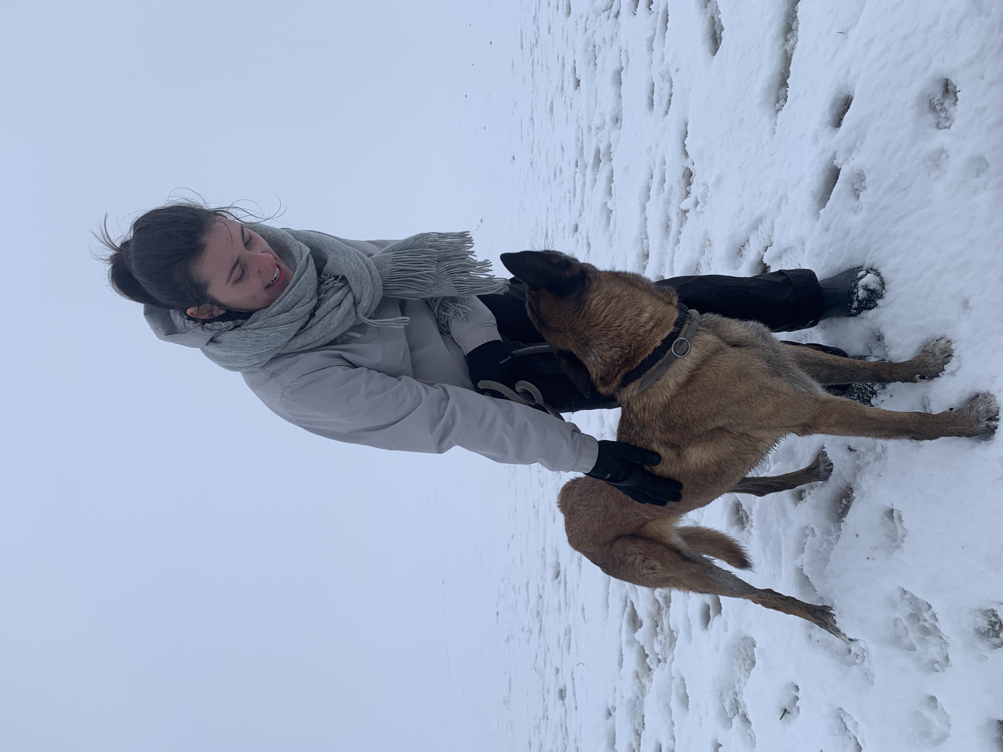 image-8