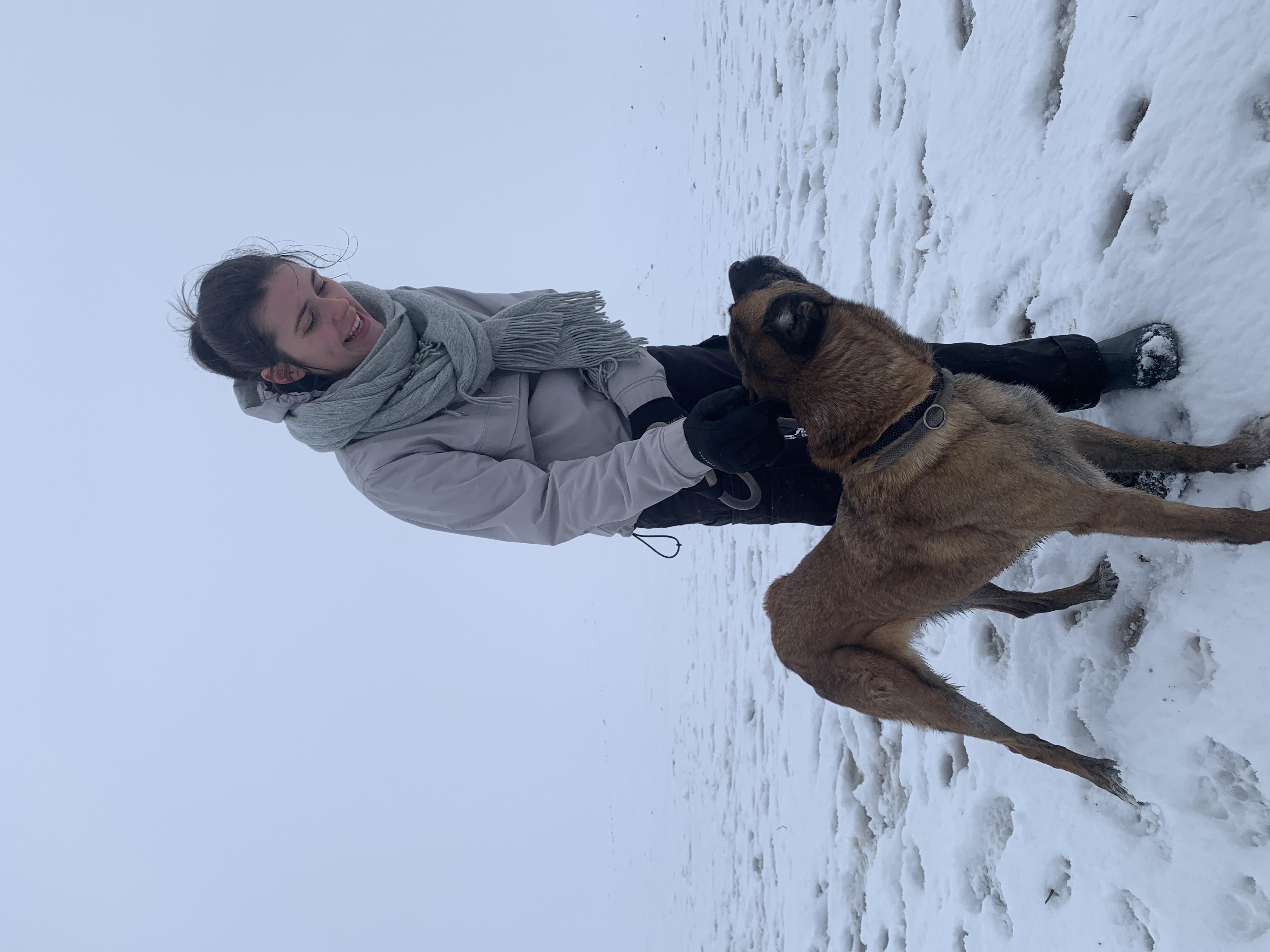 image-9