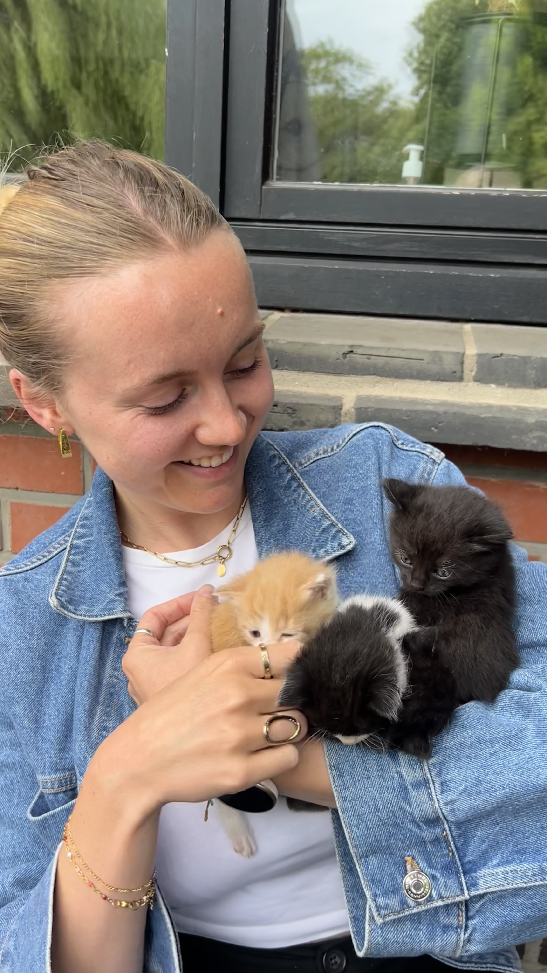 image-4