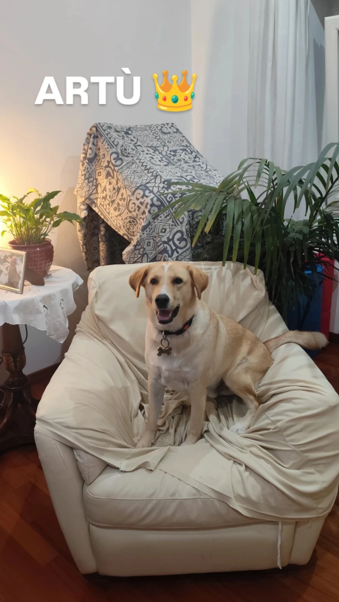 image-6