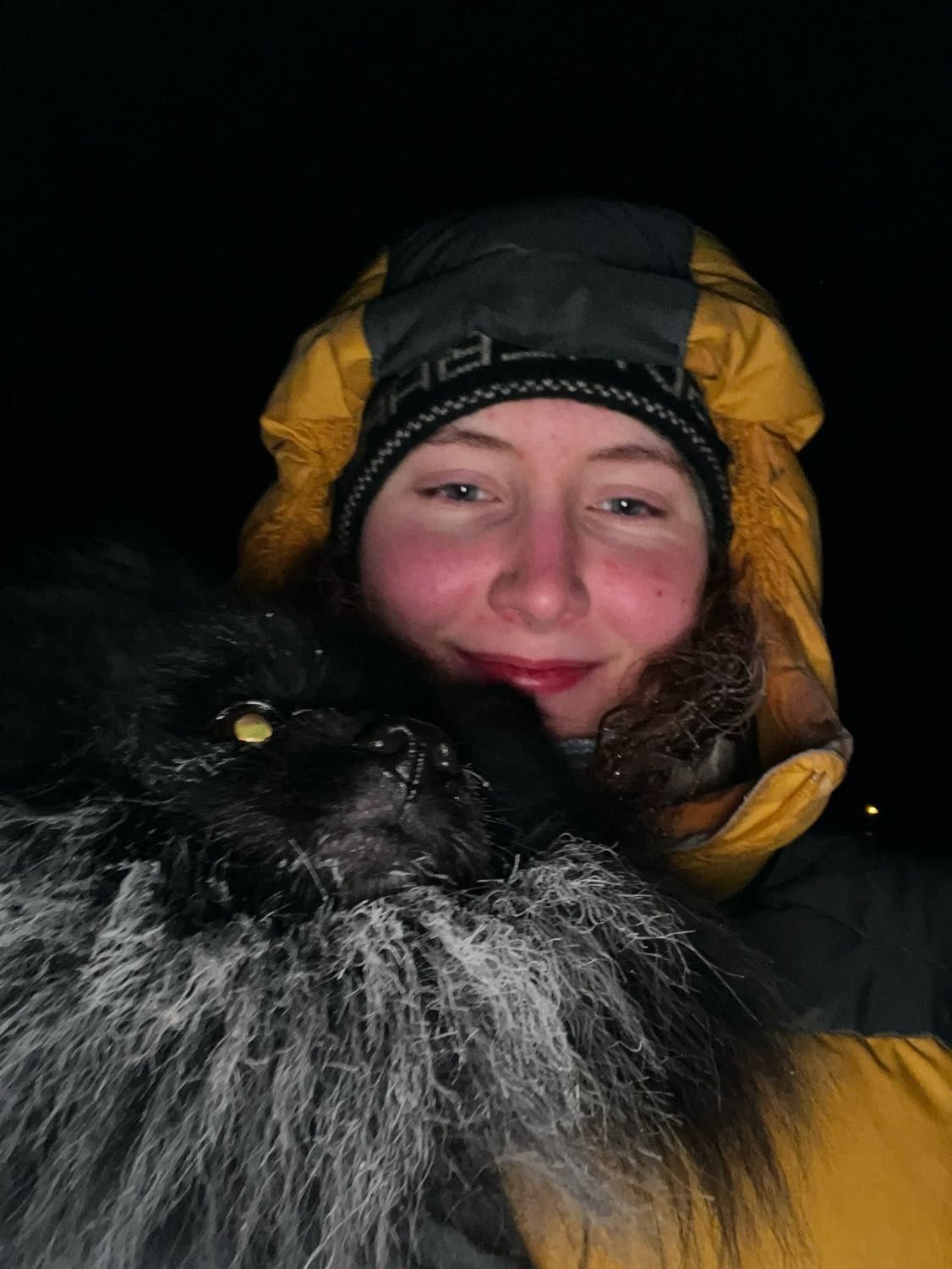 image-8