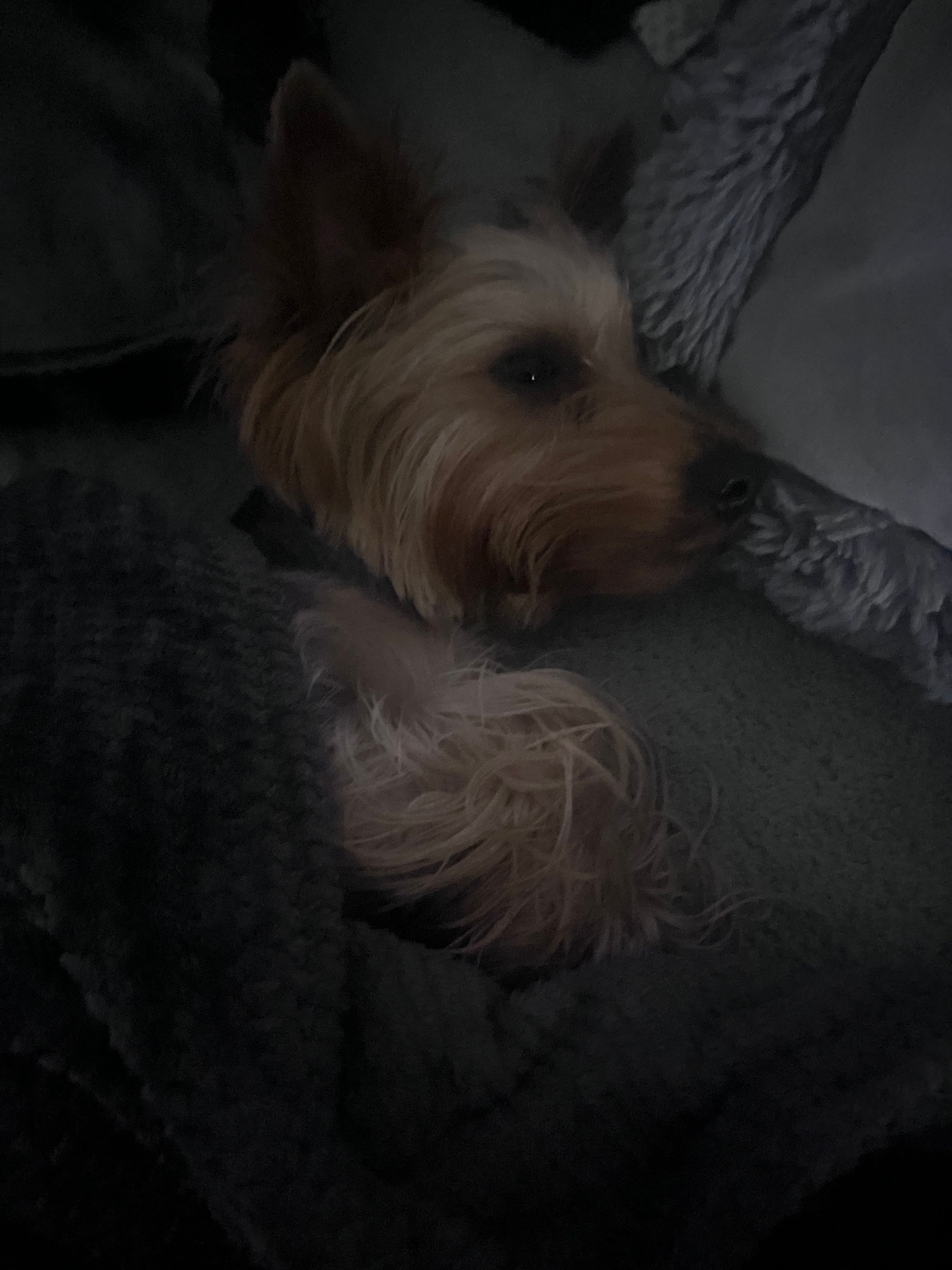 image-4