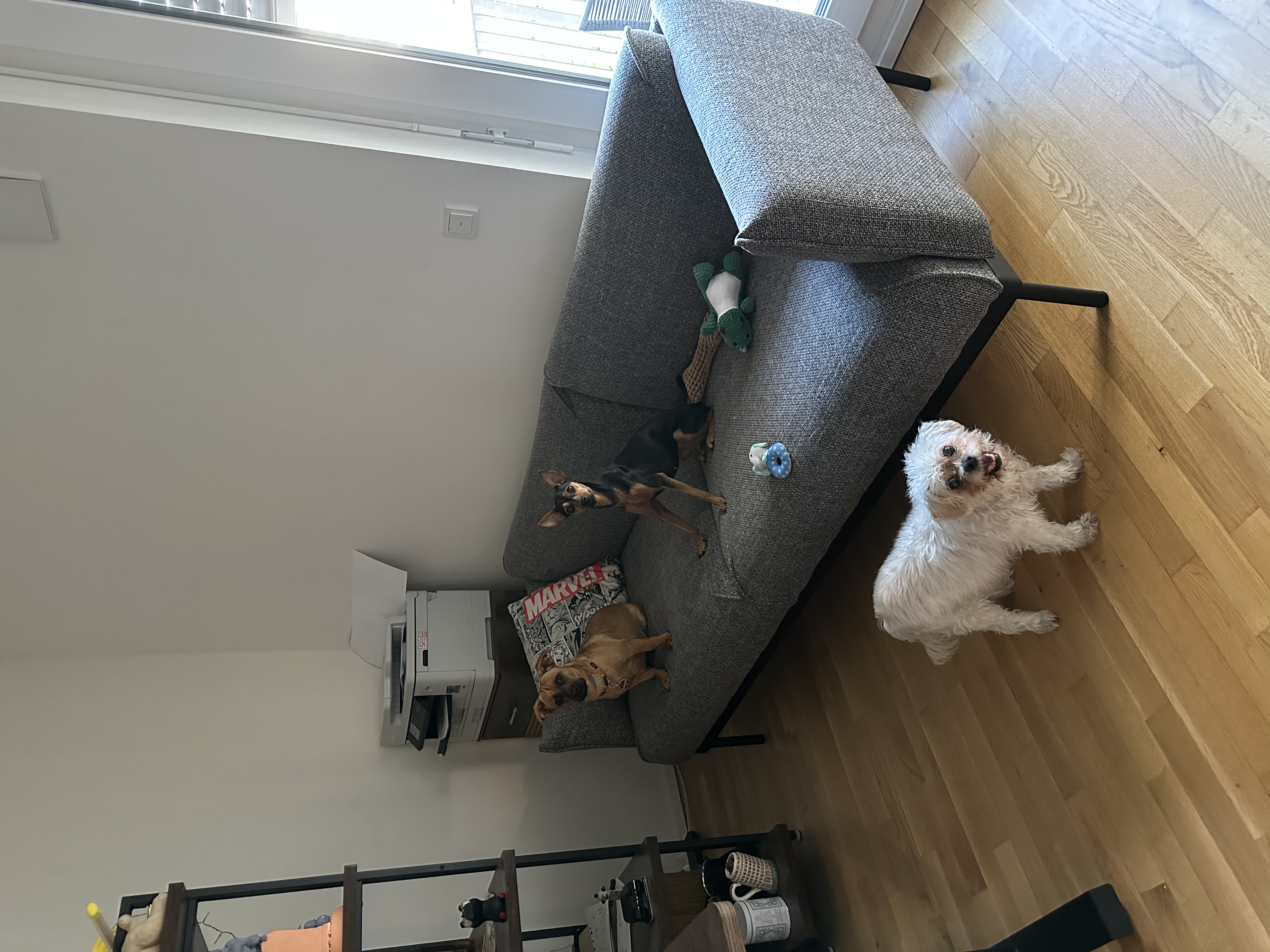 image-10