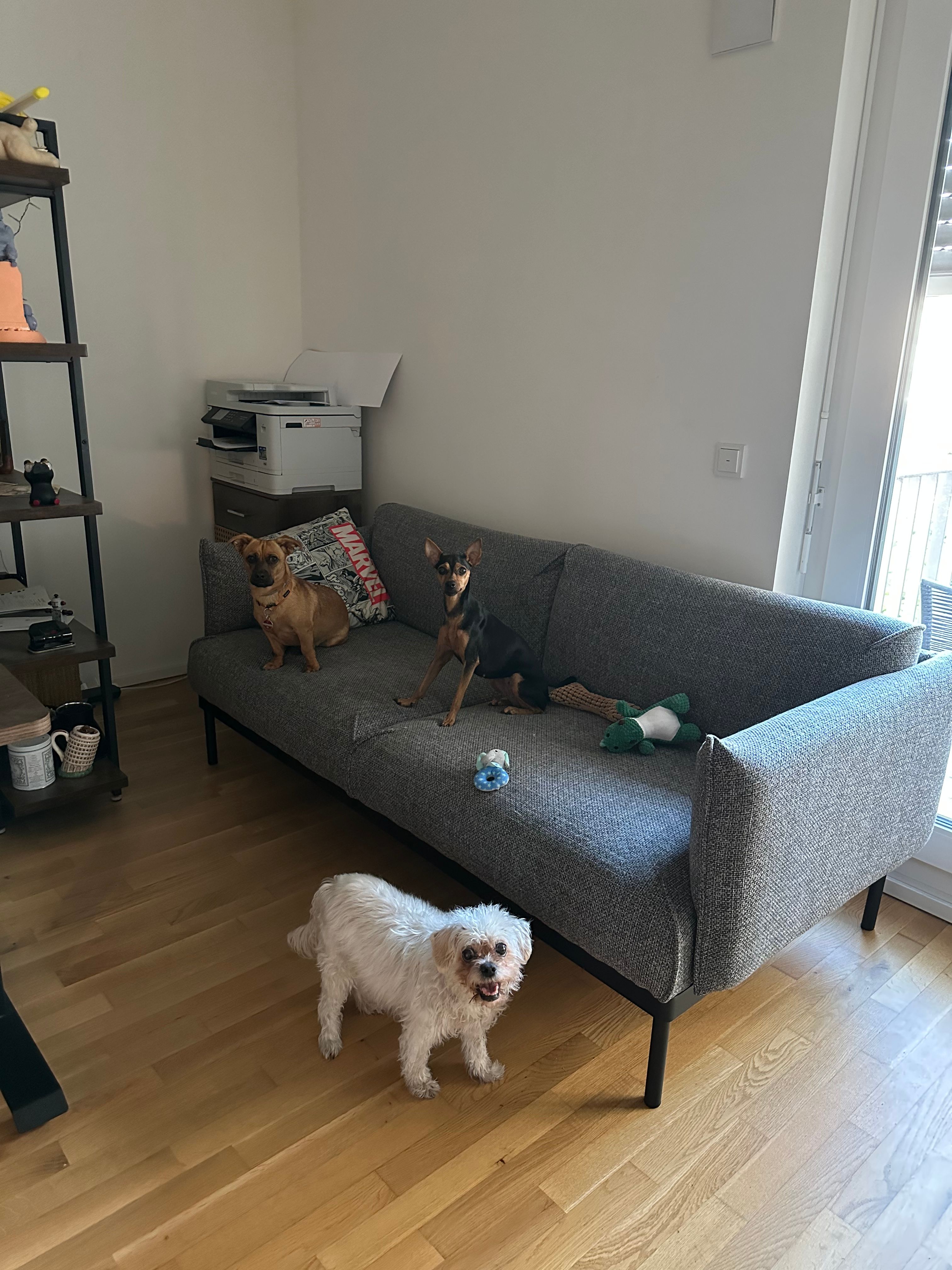image-10