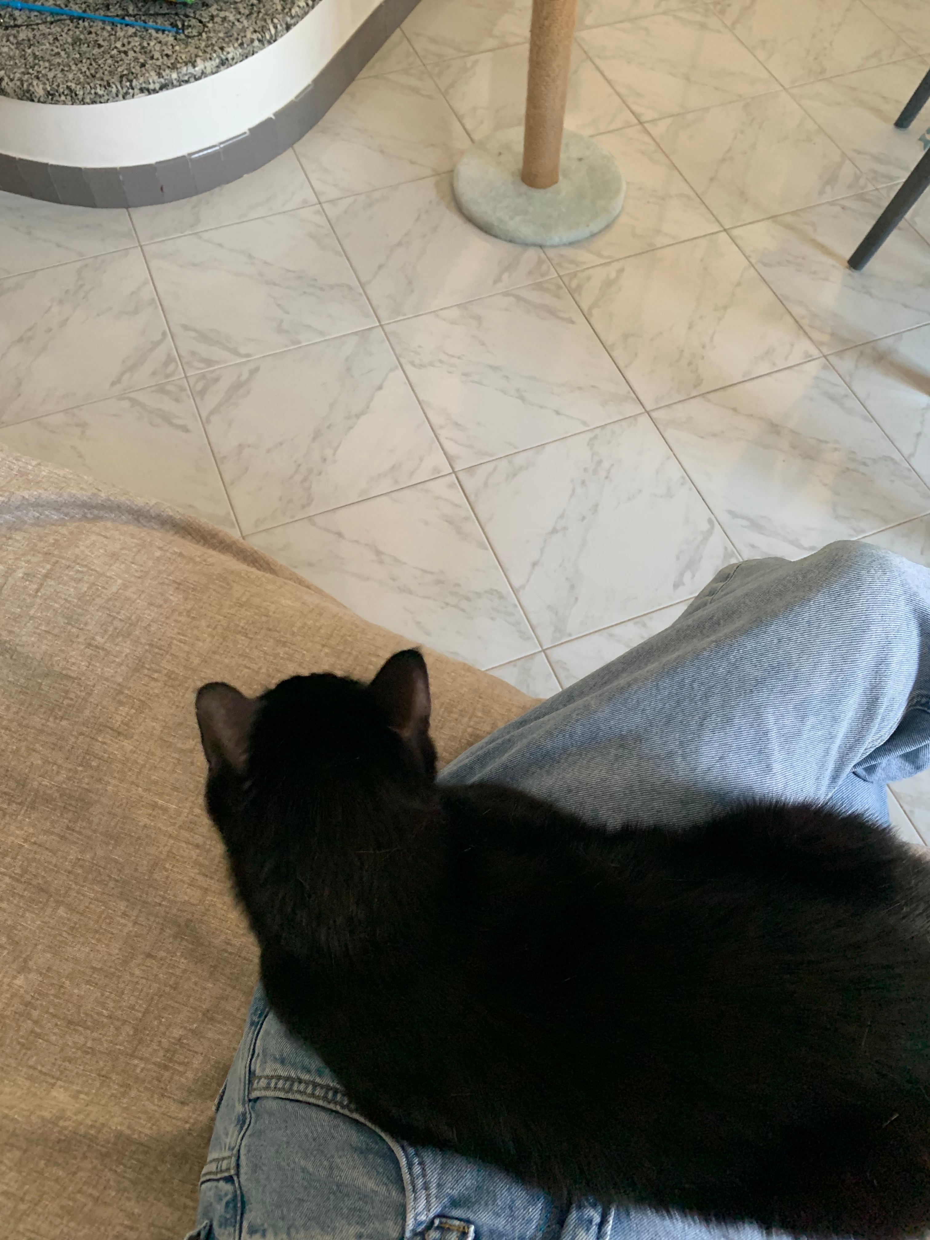 image-14