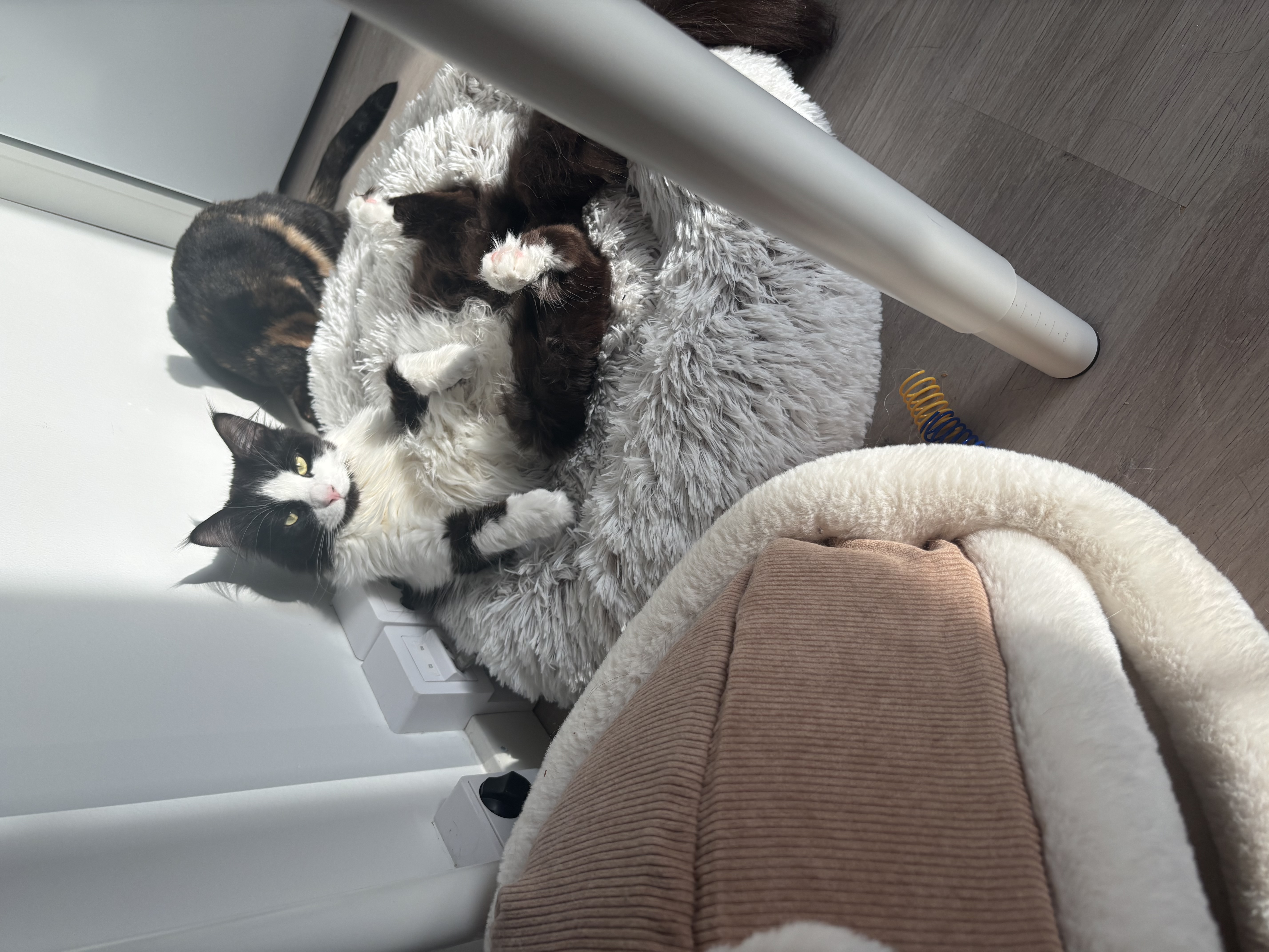 image-11