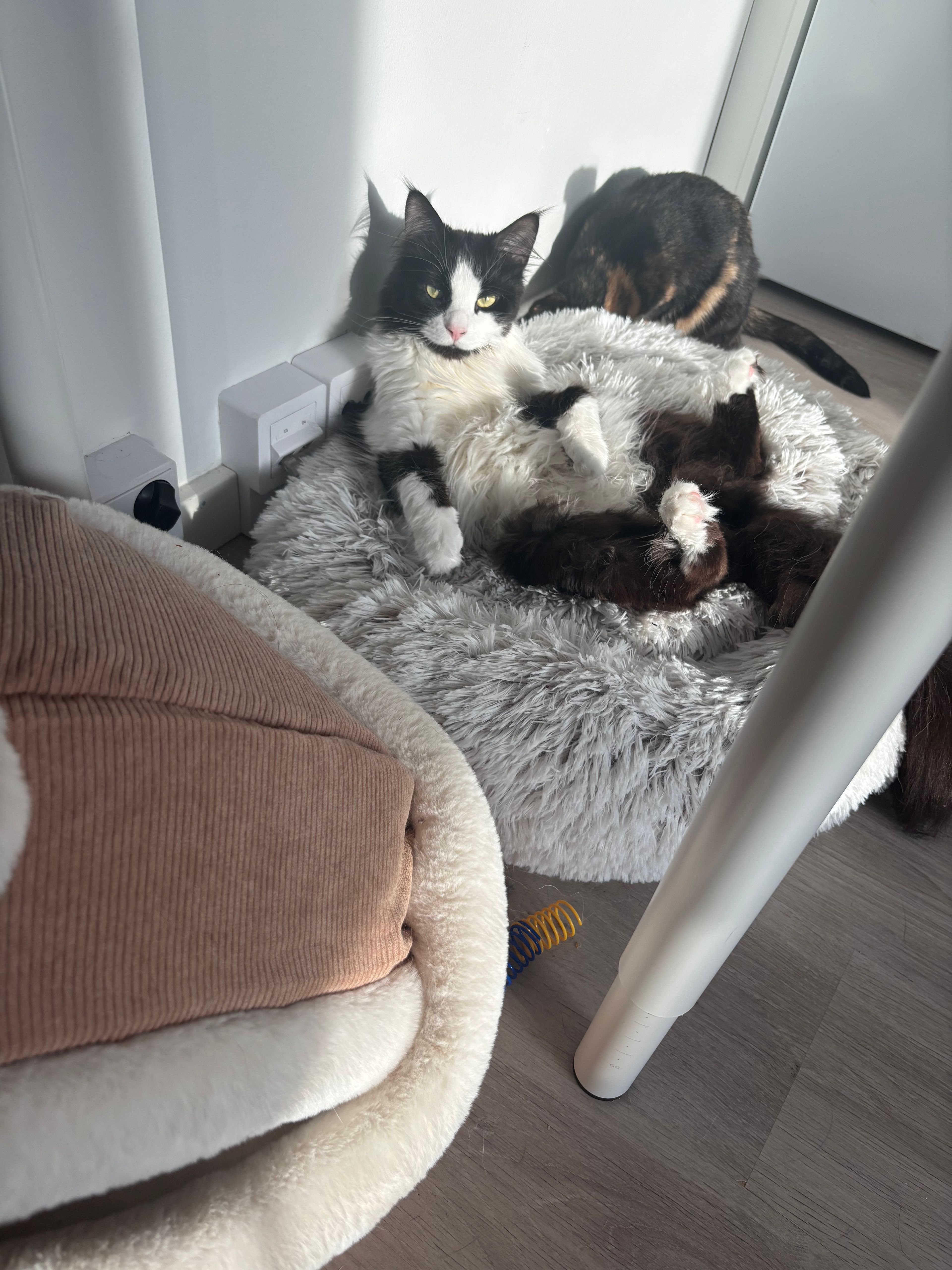 image-11