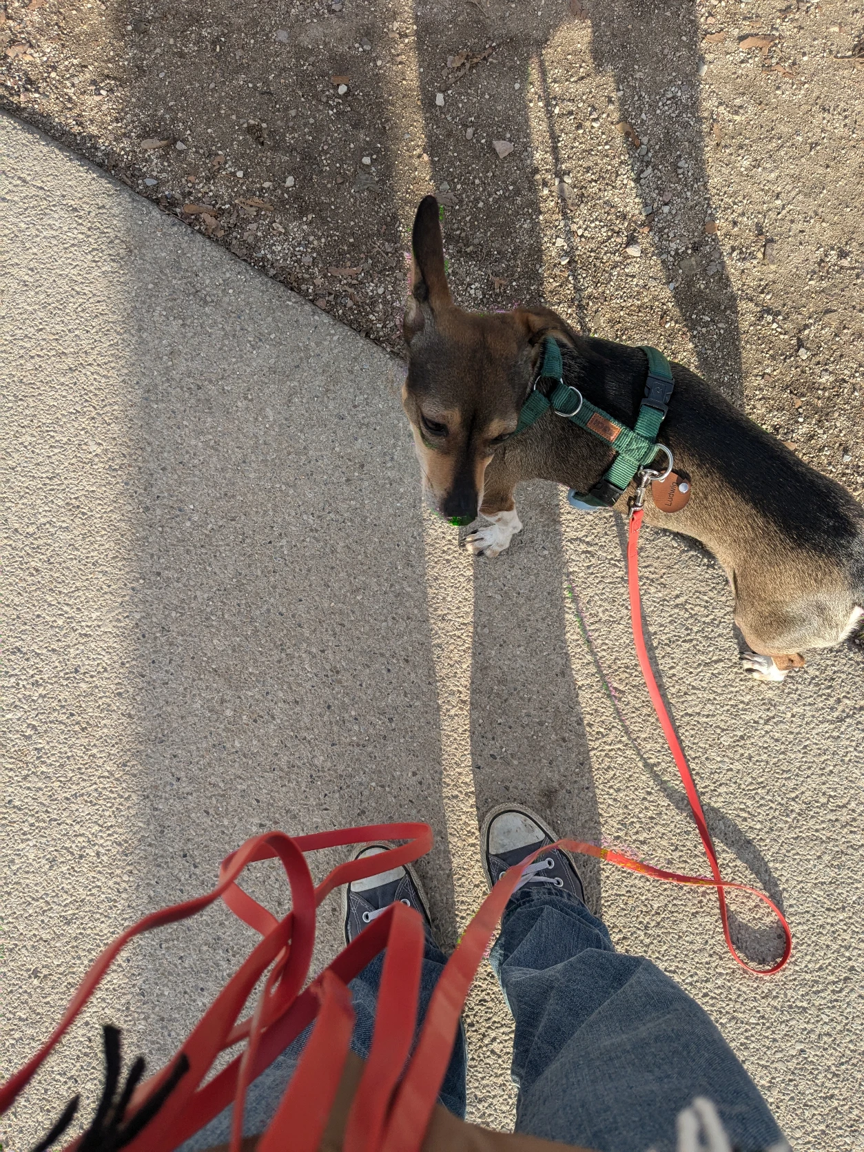image-8