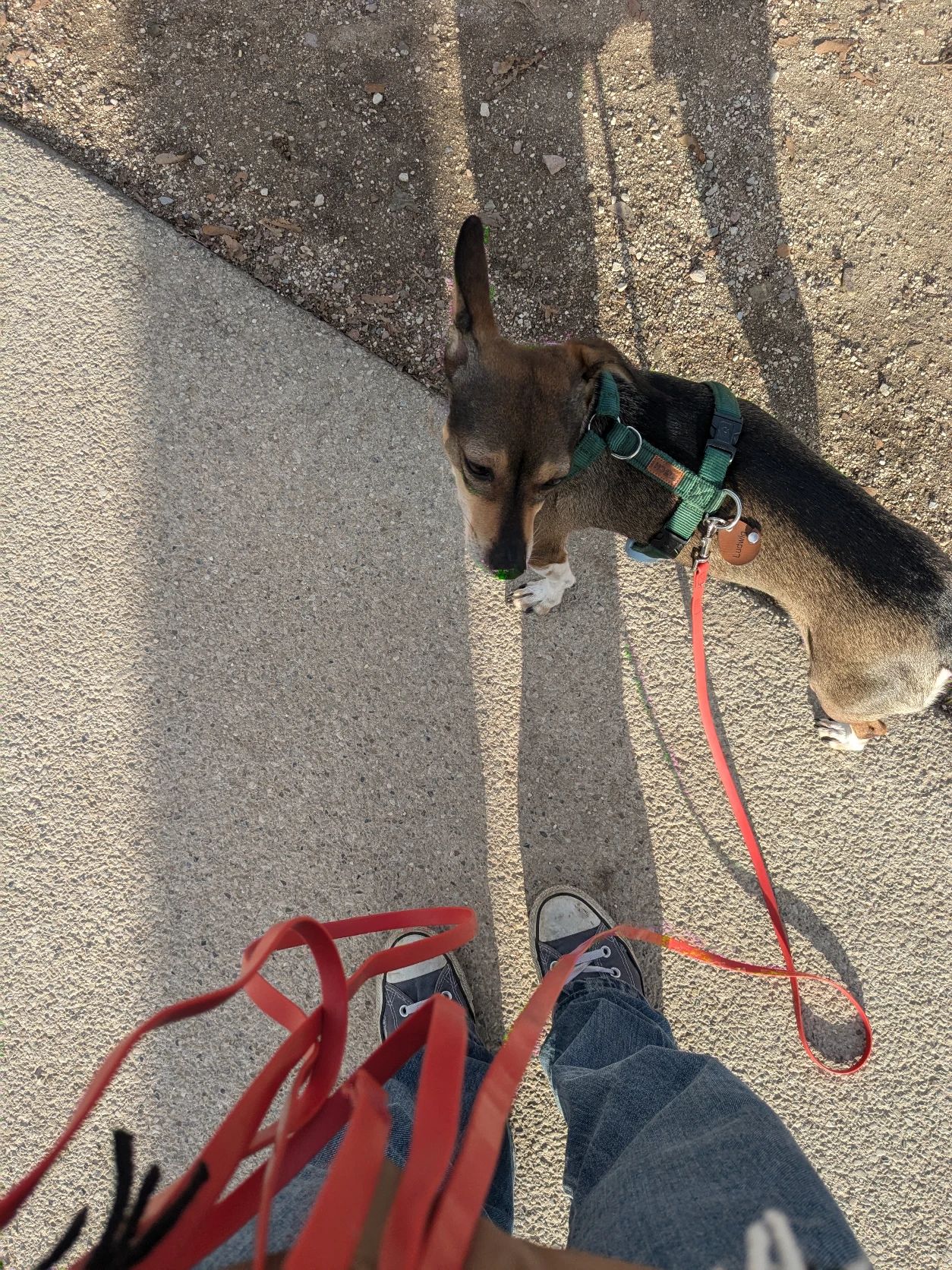 image-8