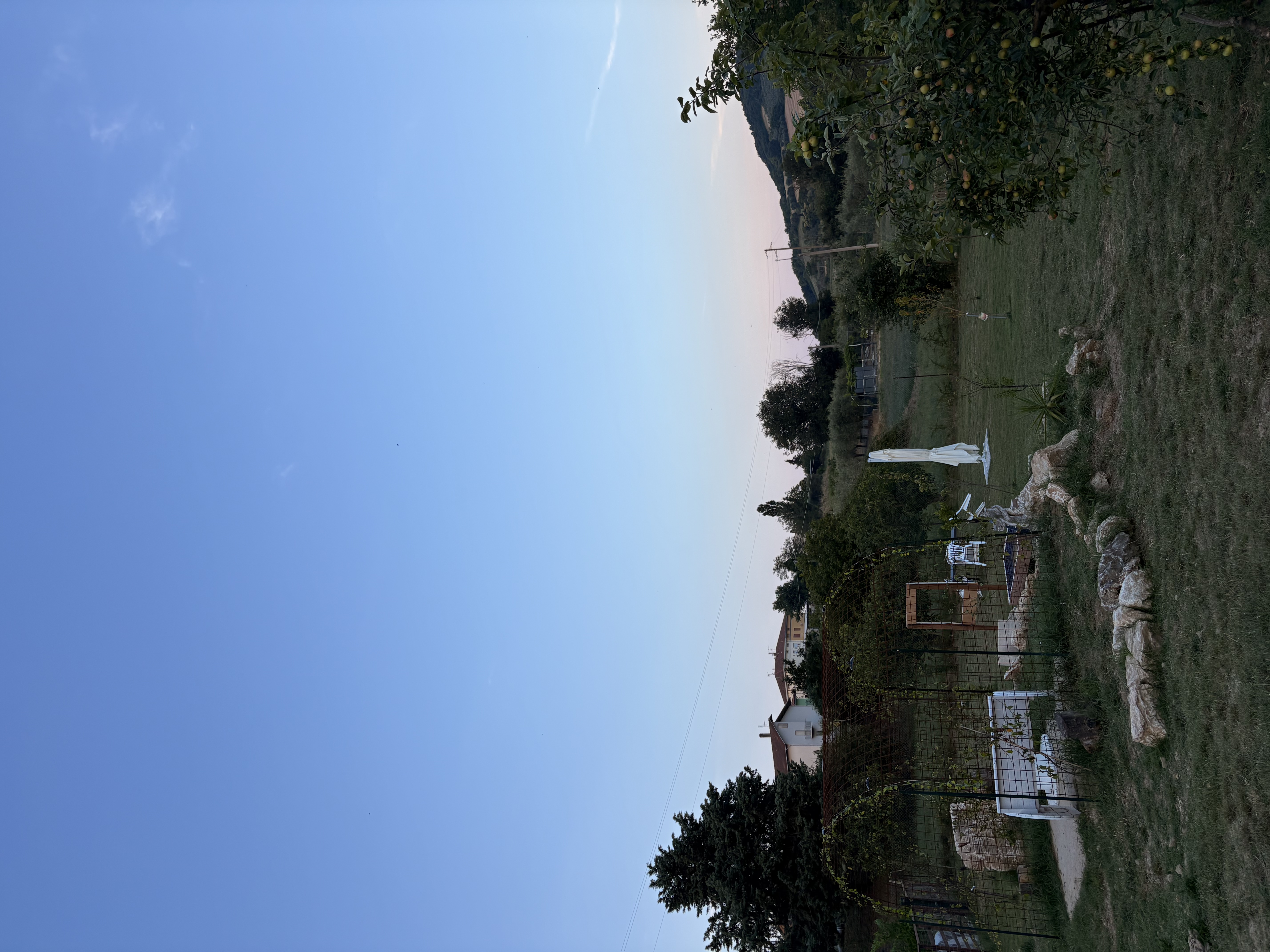 image-74