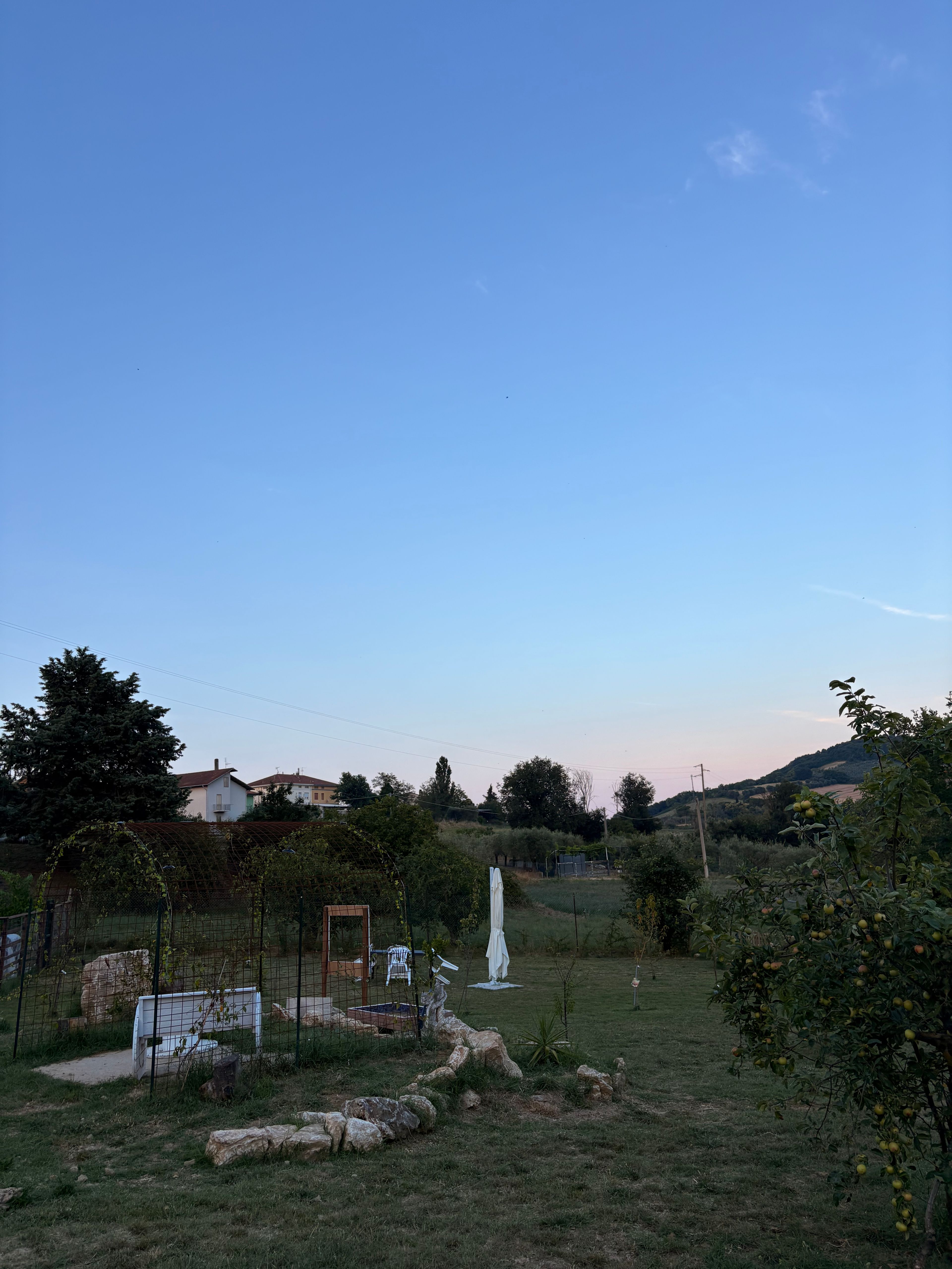 image-74