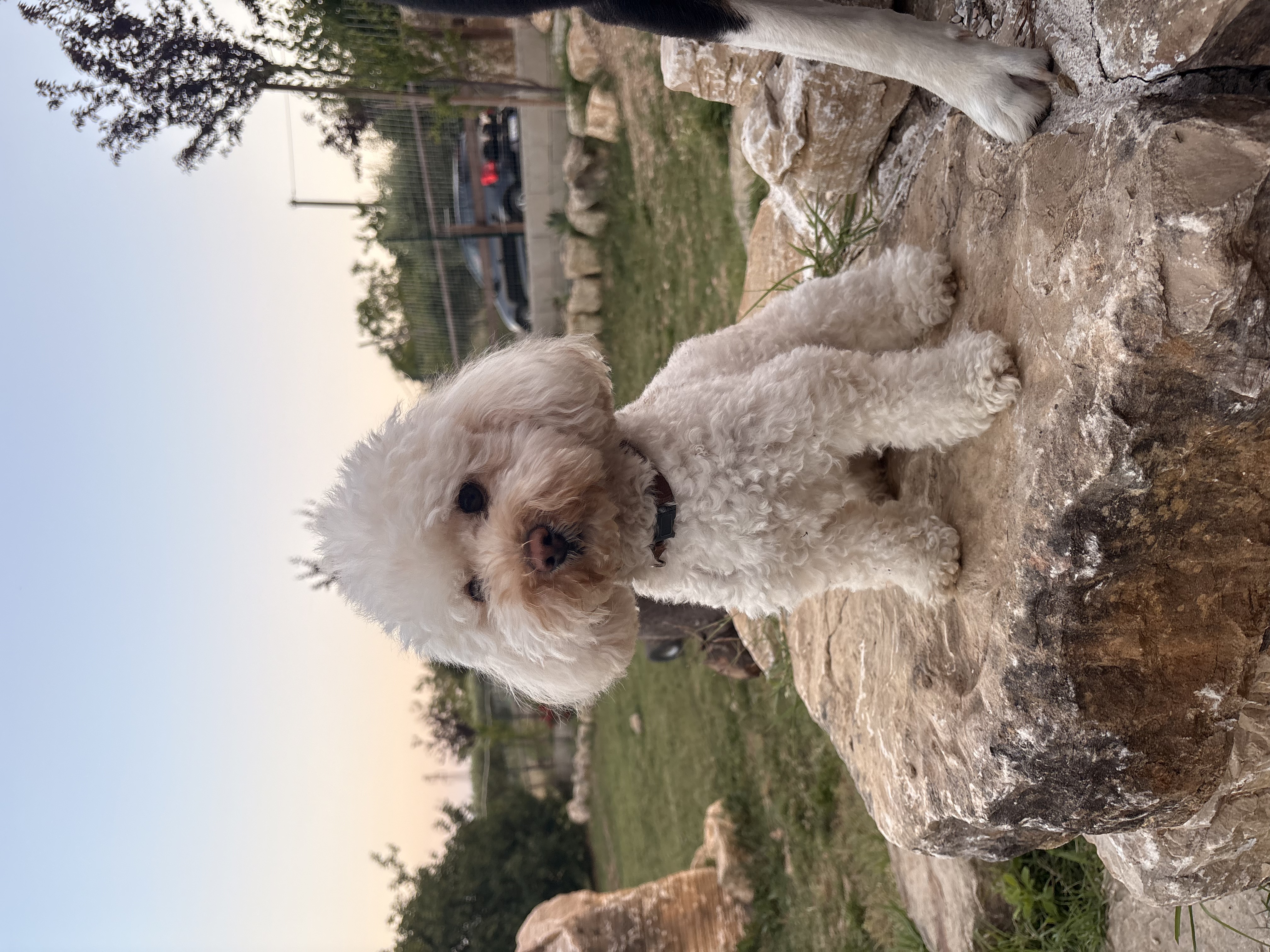 image-48