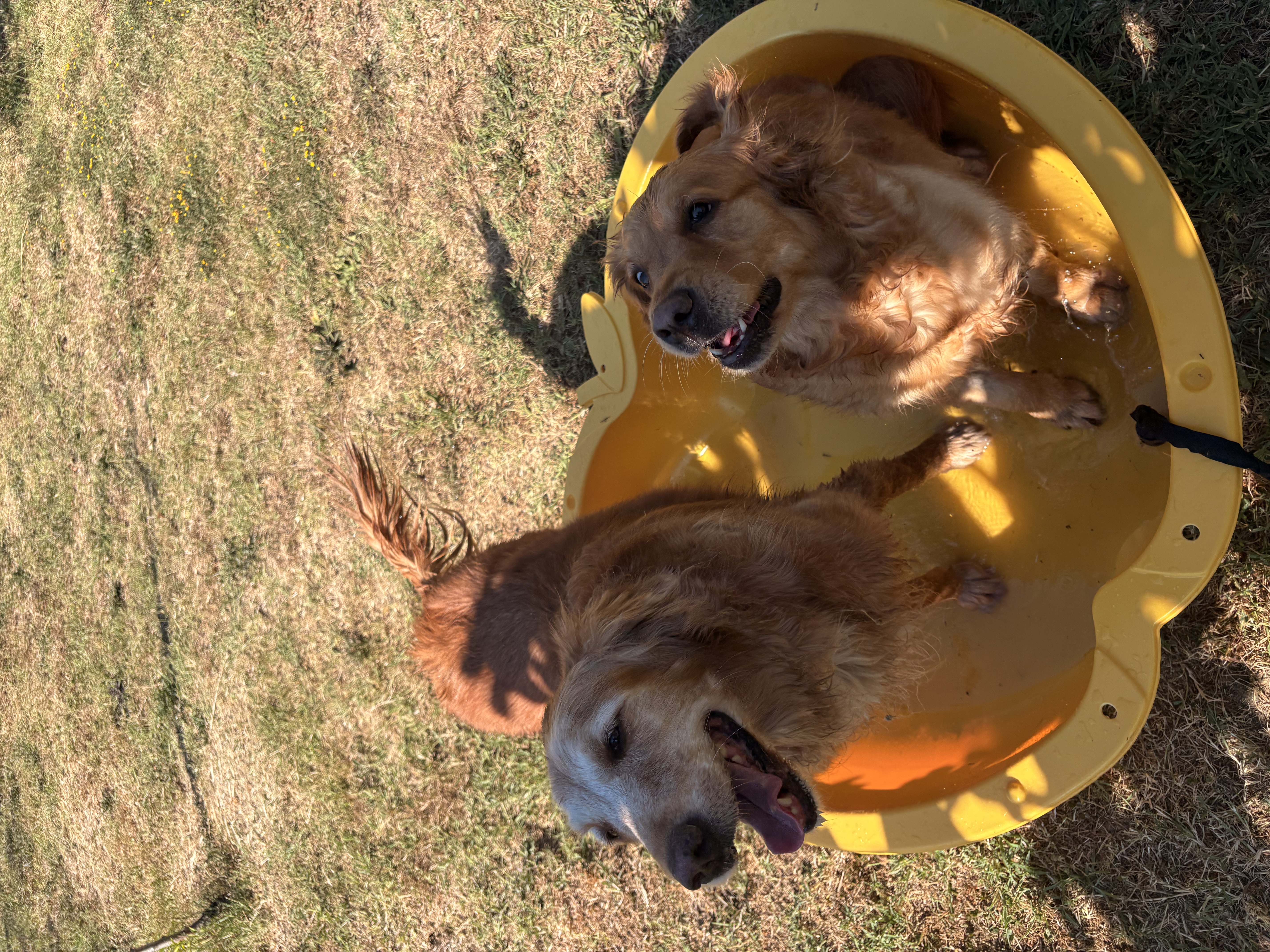 image-69