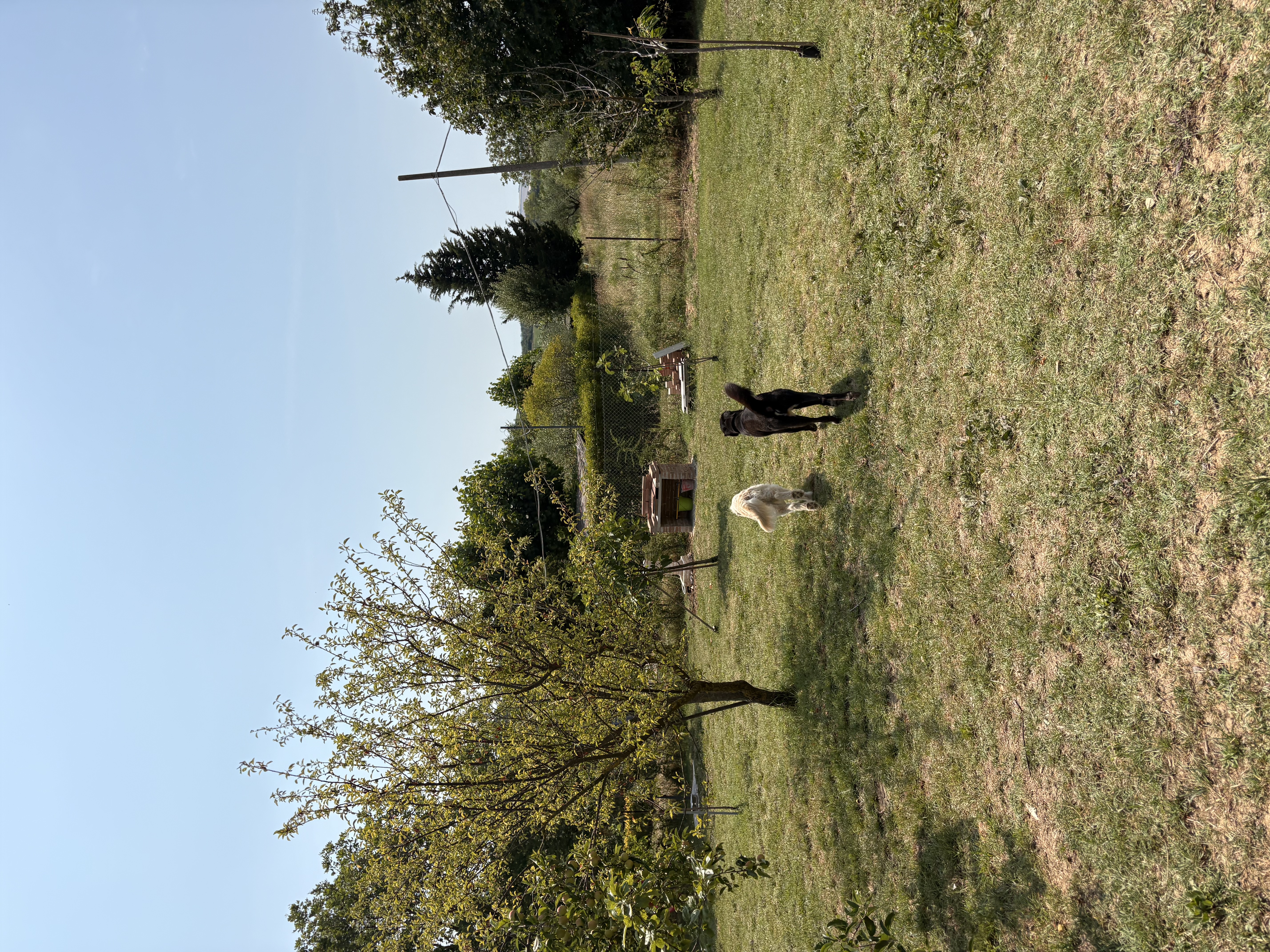 image-76
