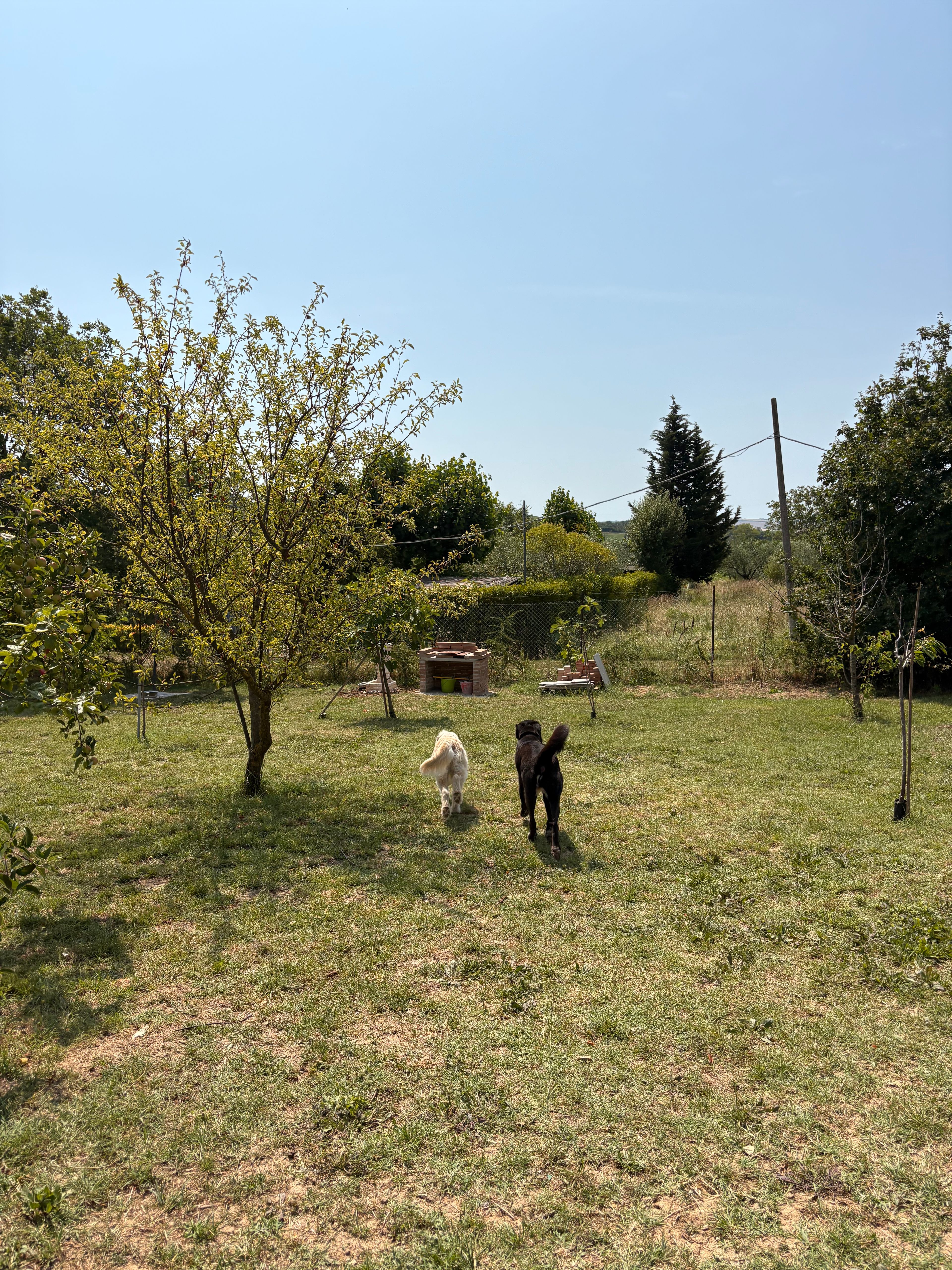 image-76