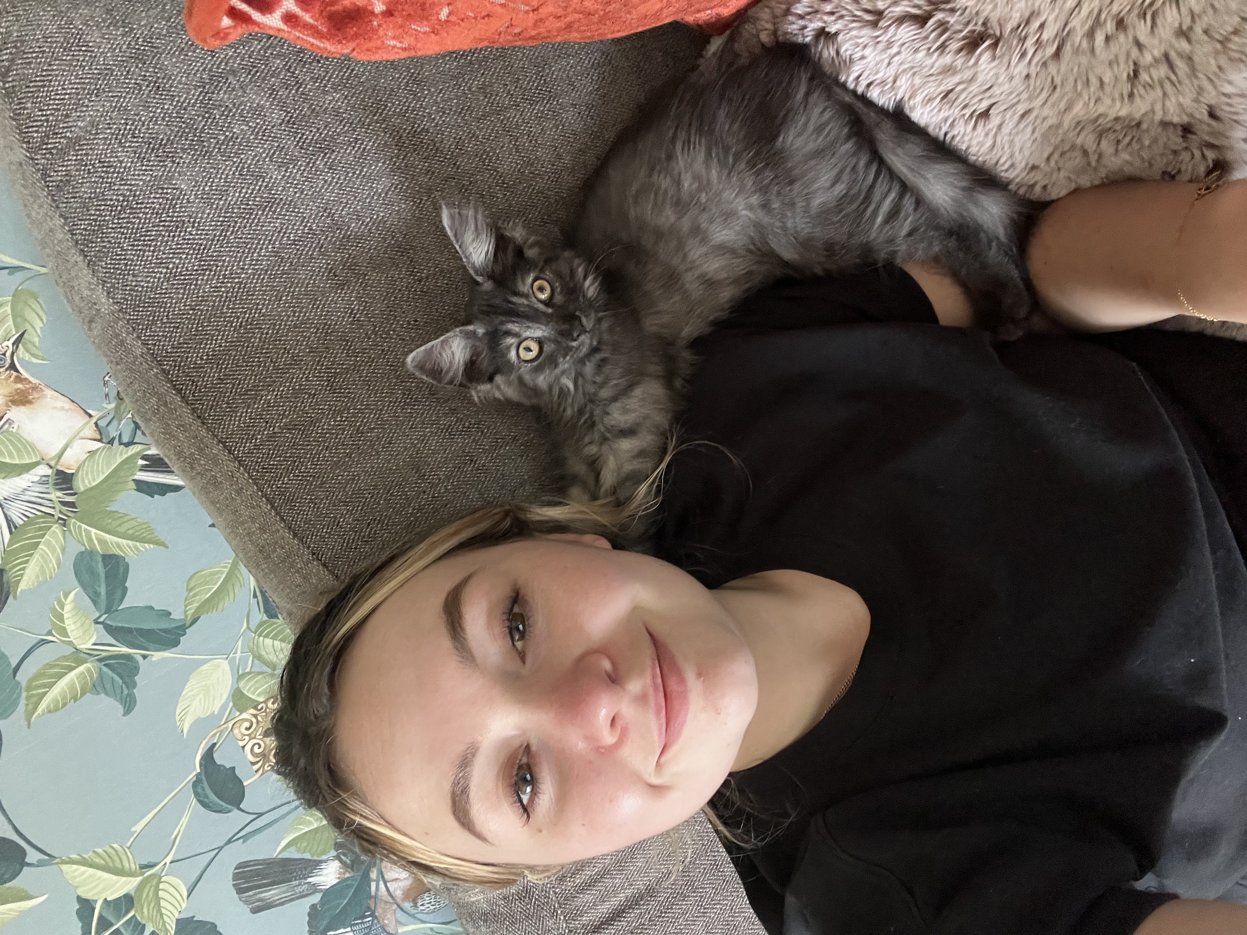 image-8