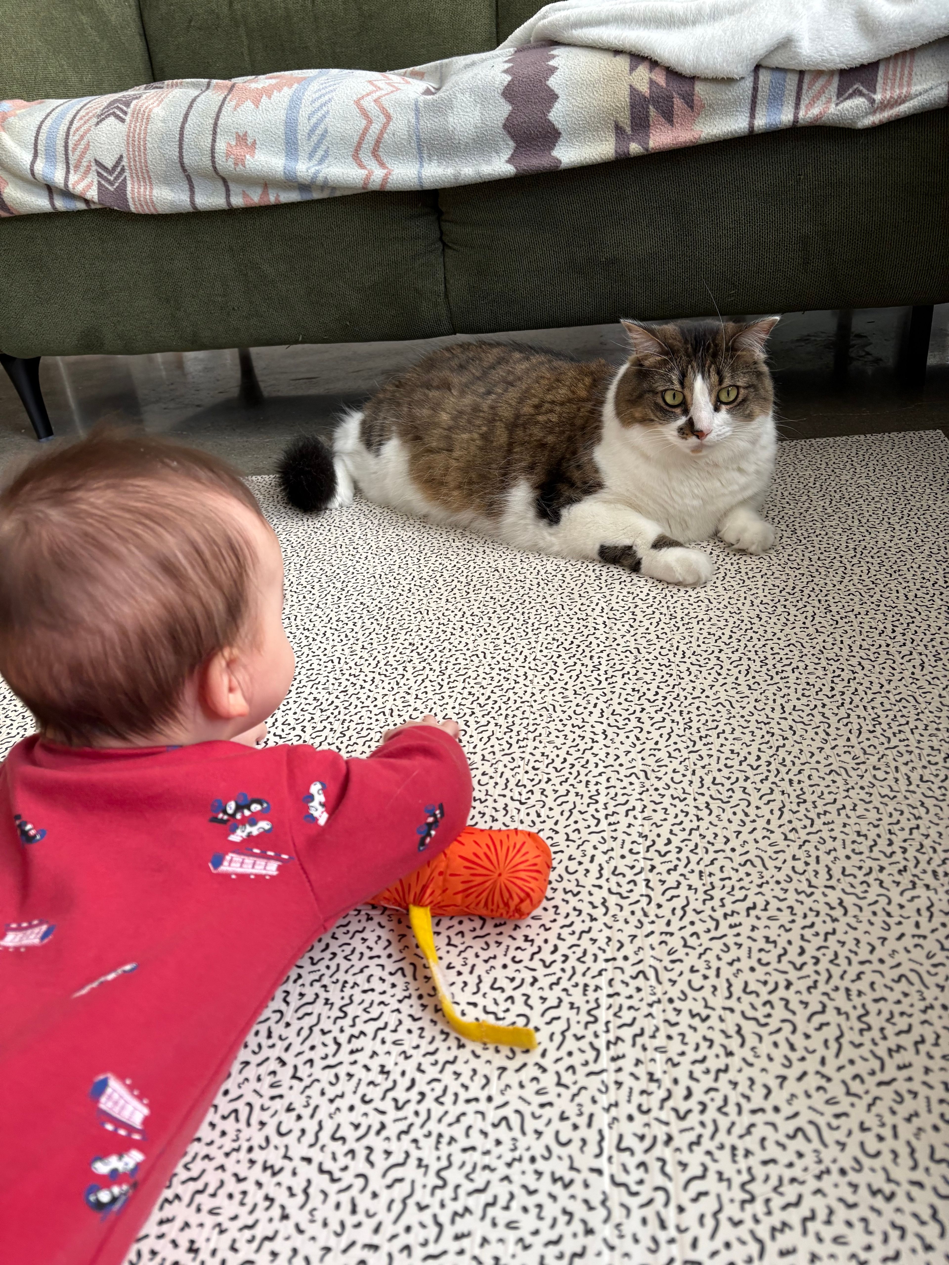 image-7