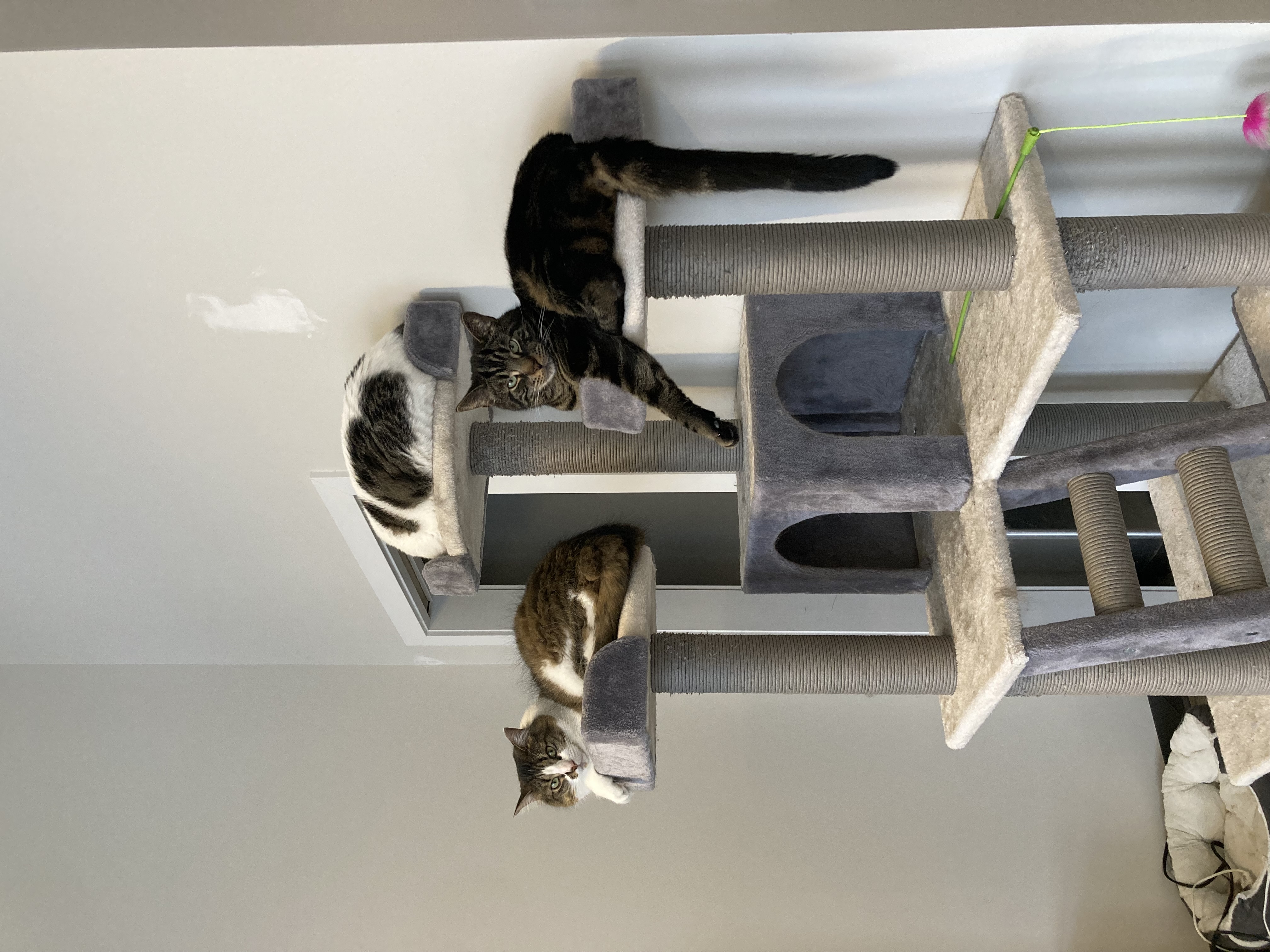 image-8
