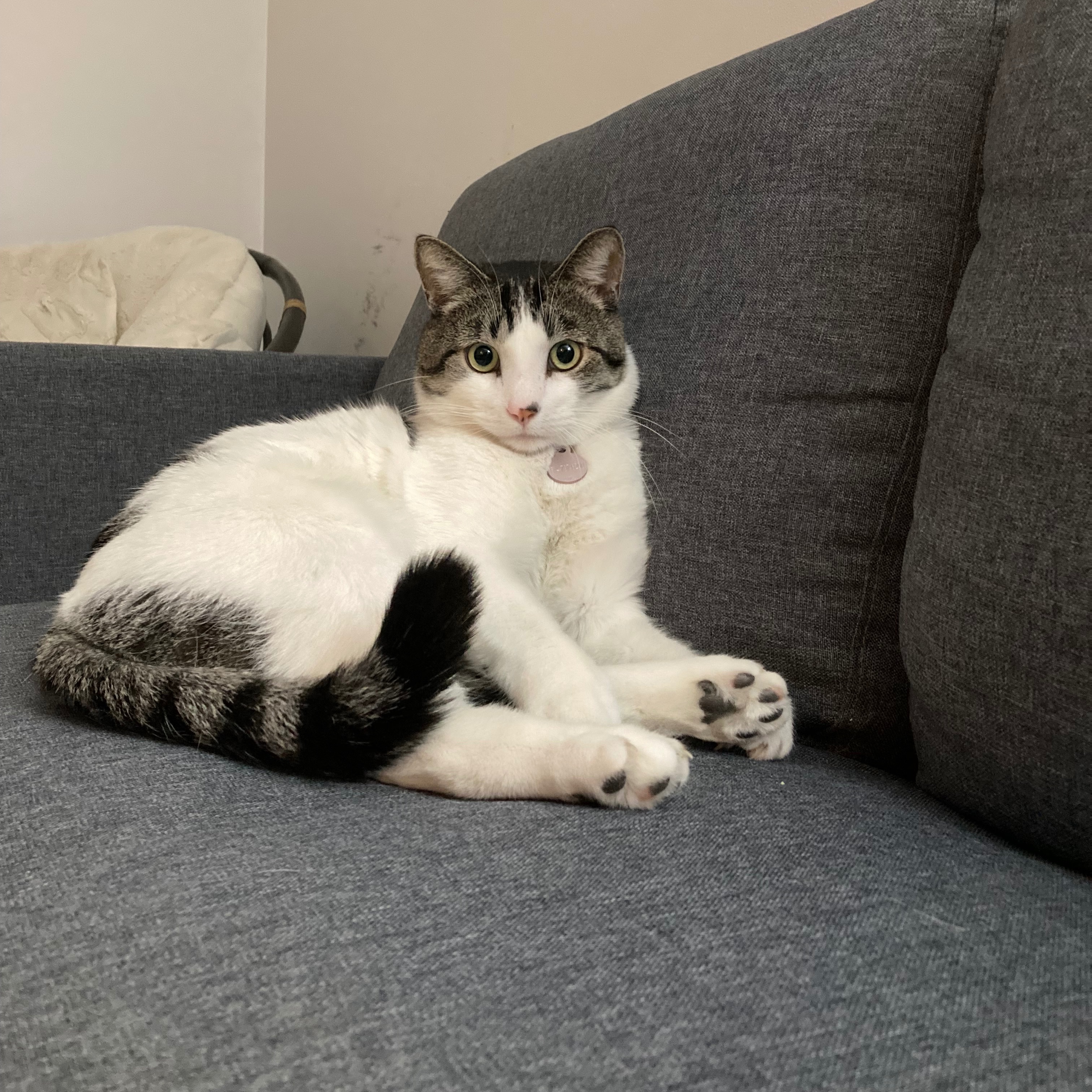 Jean-Slinky