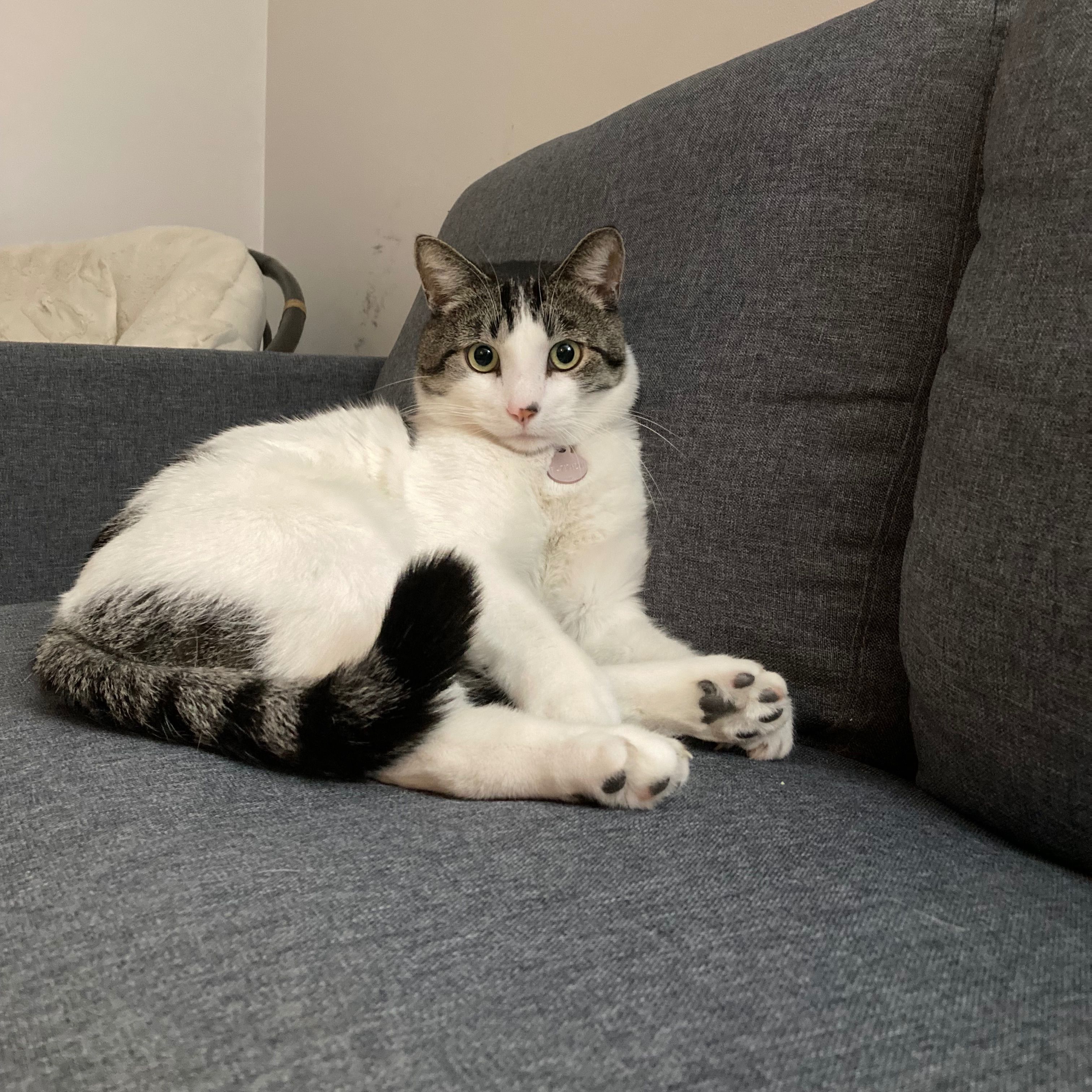 Jean-Slinky