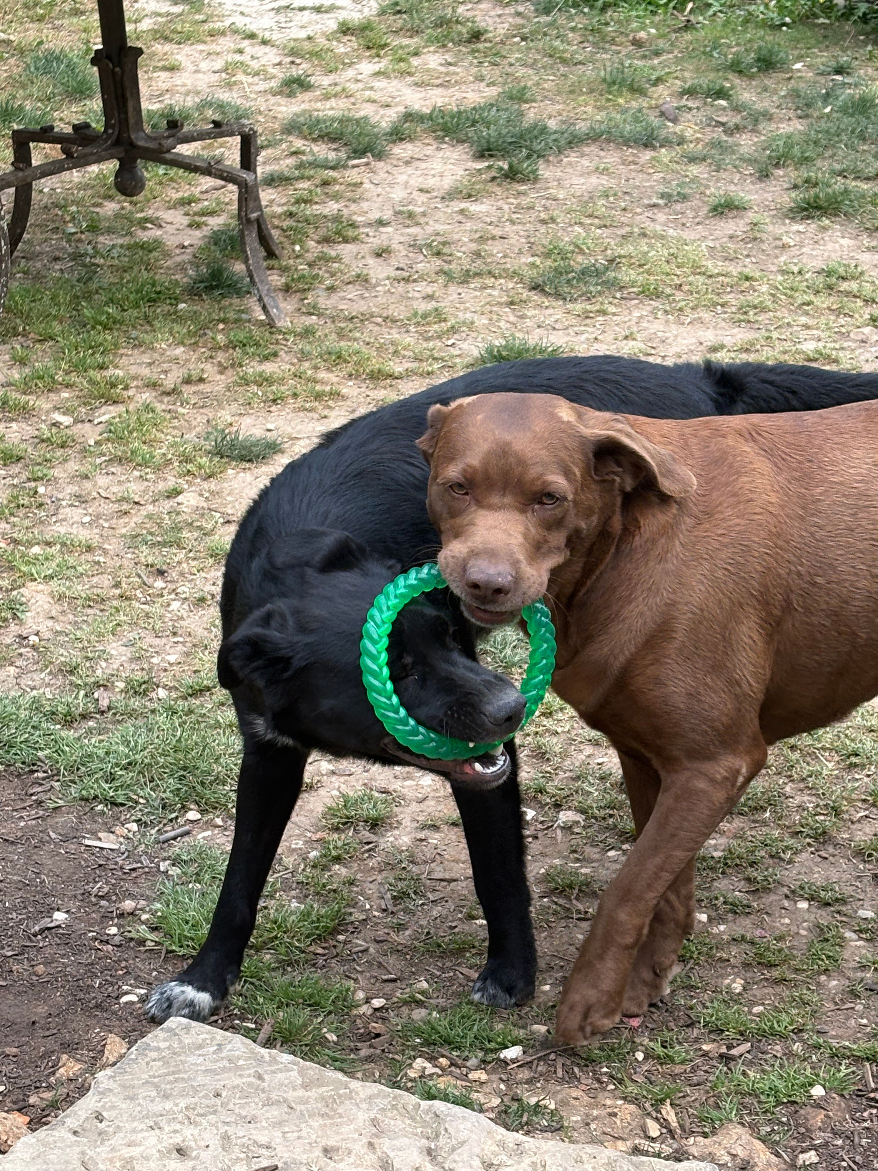 image-14