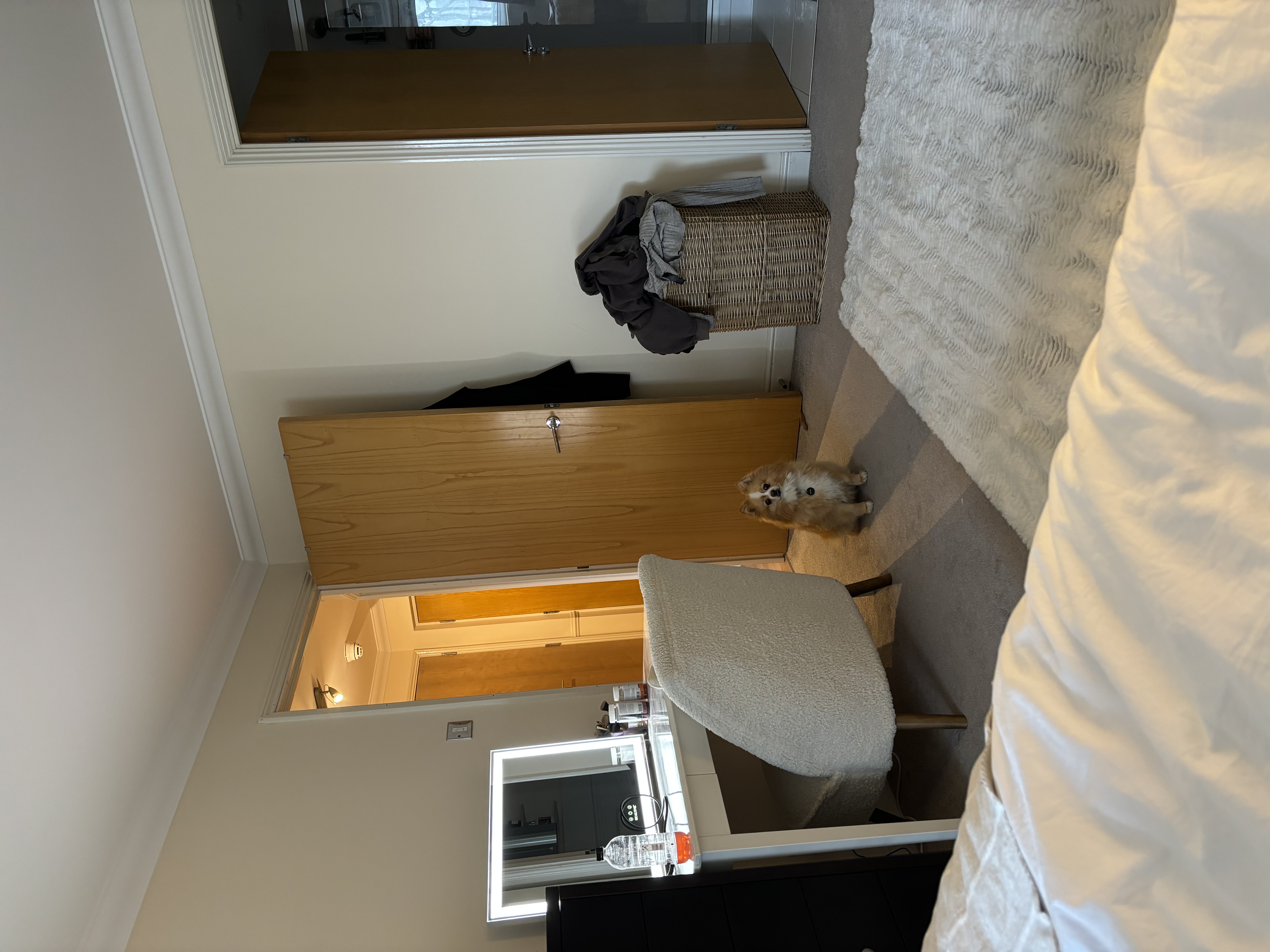 image-15