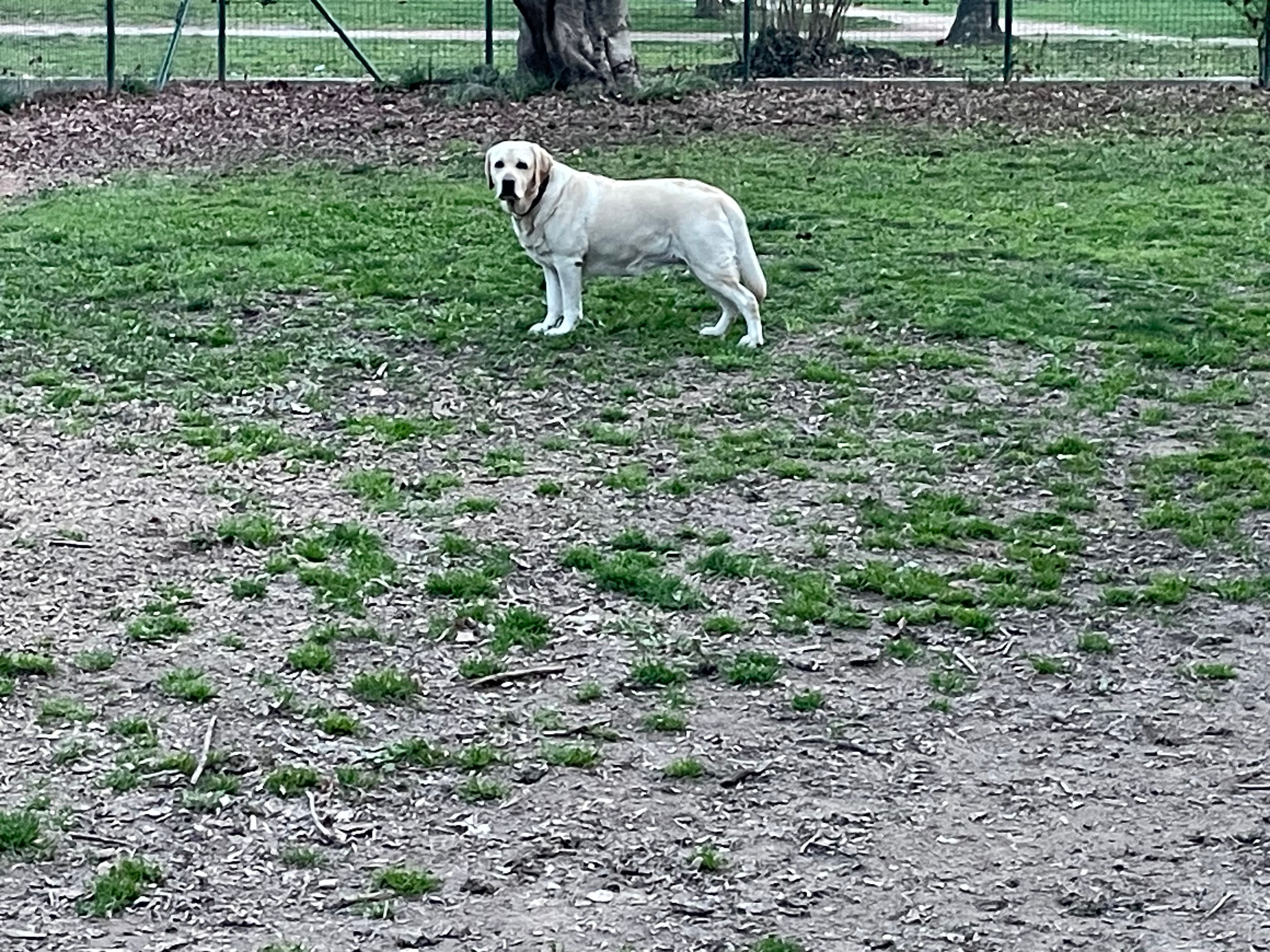image-18