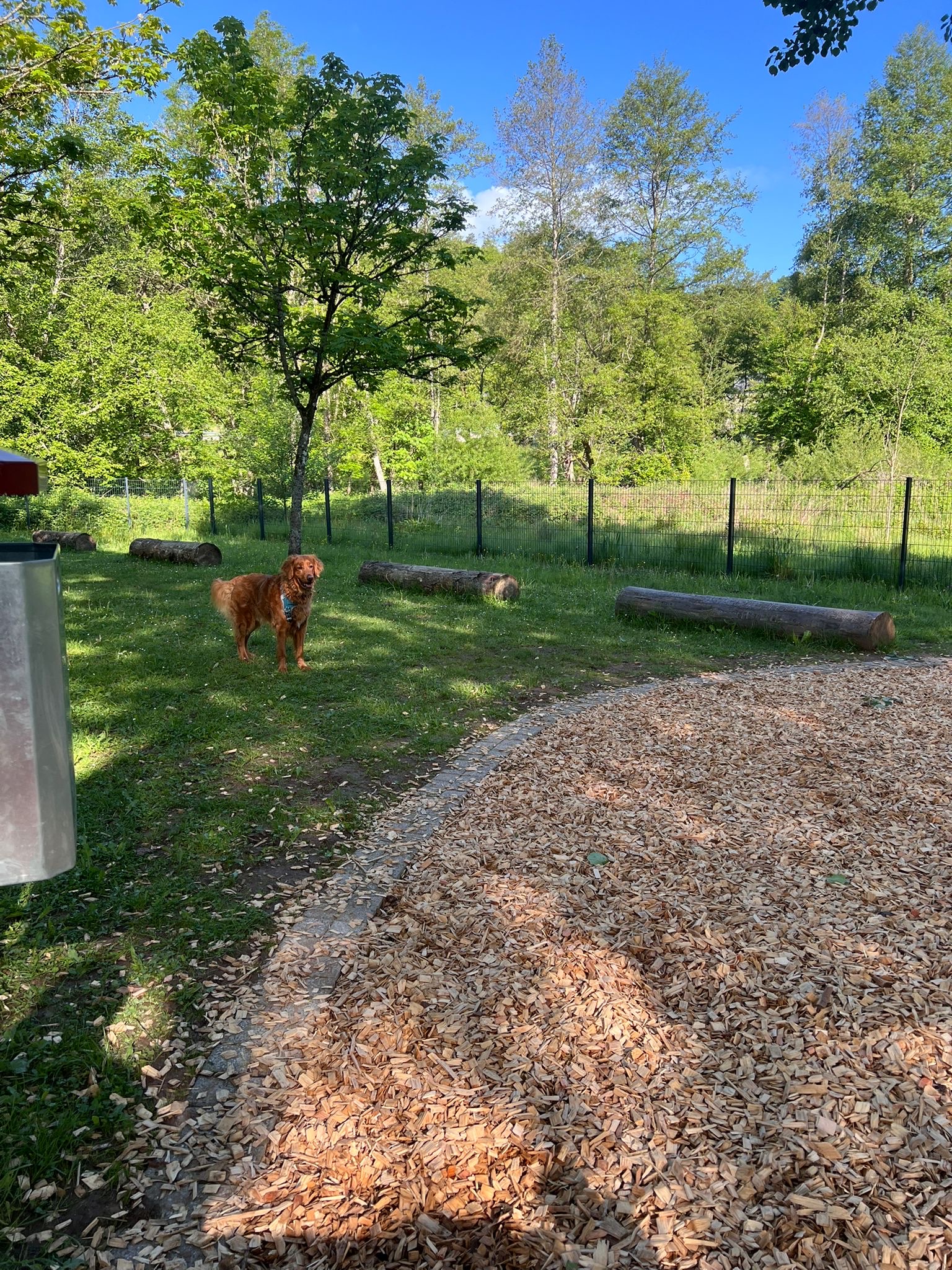 image-13
