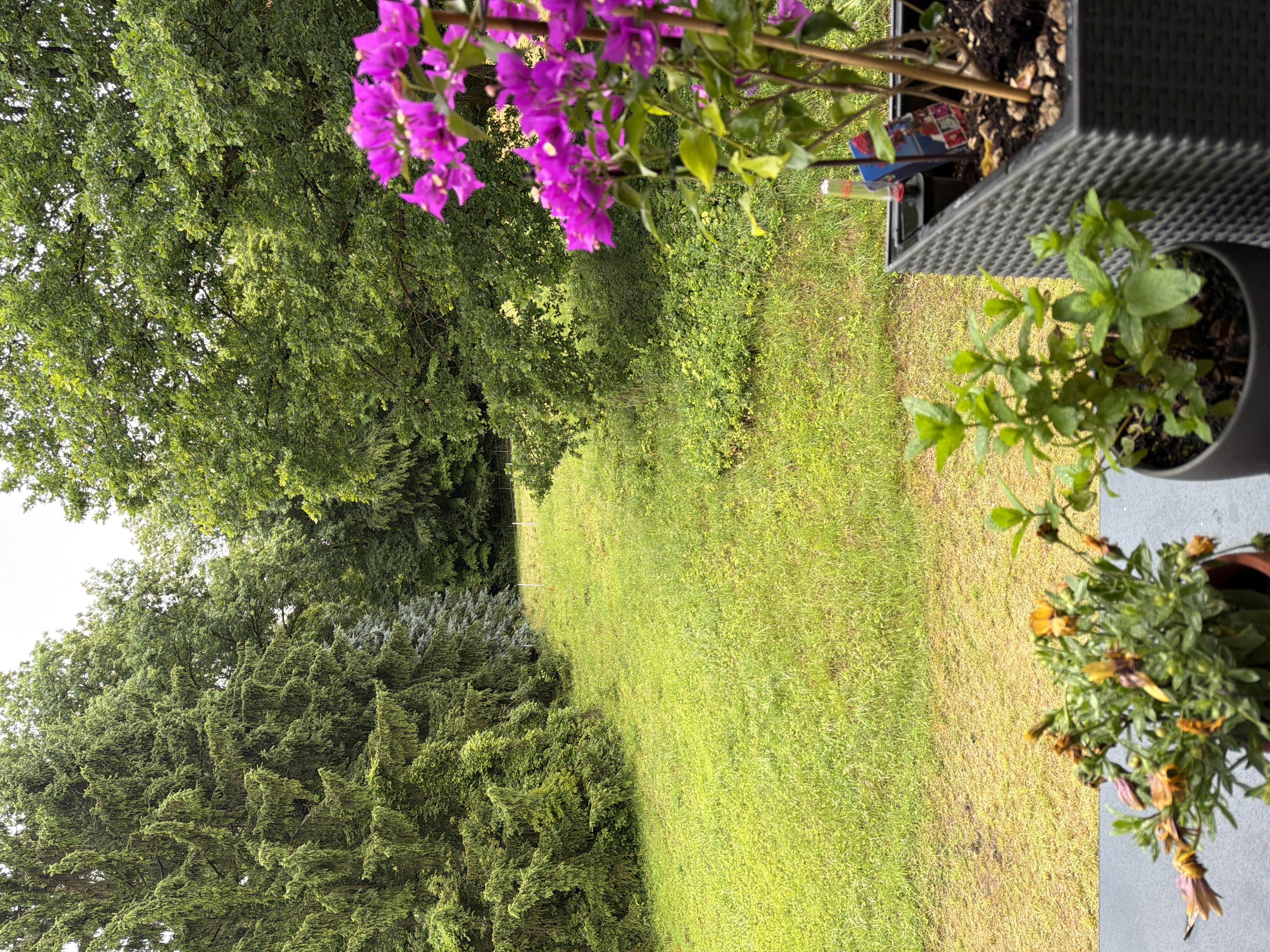 image-17