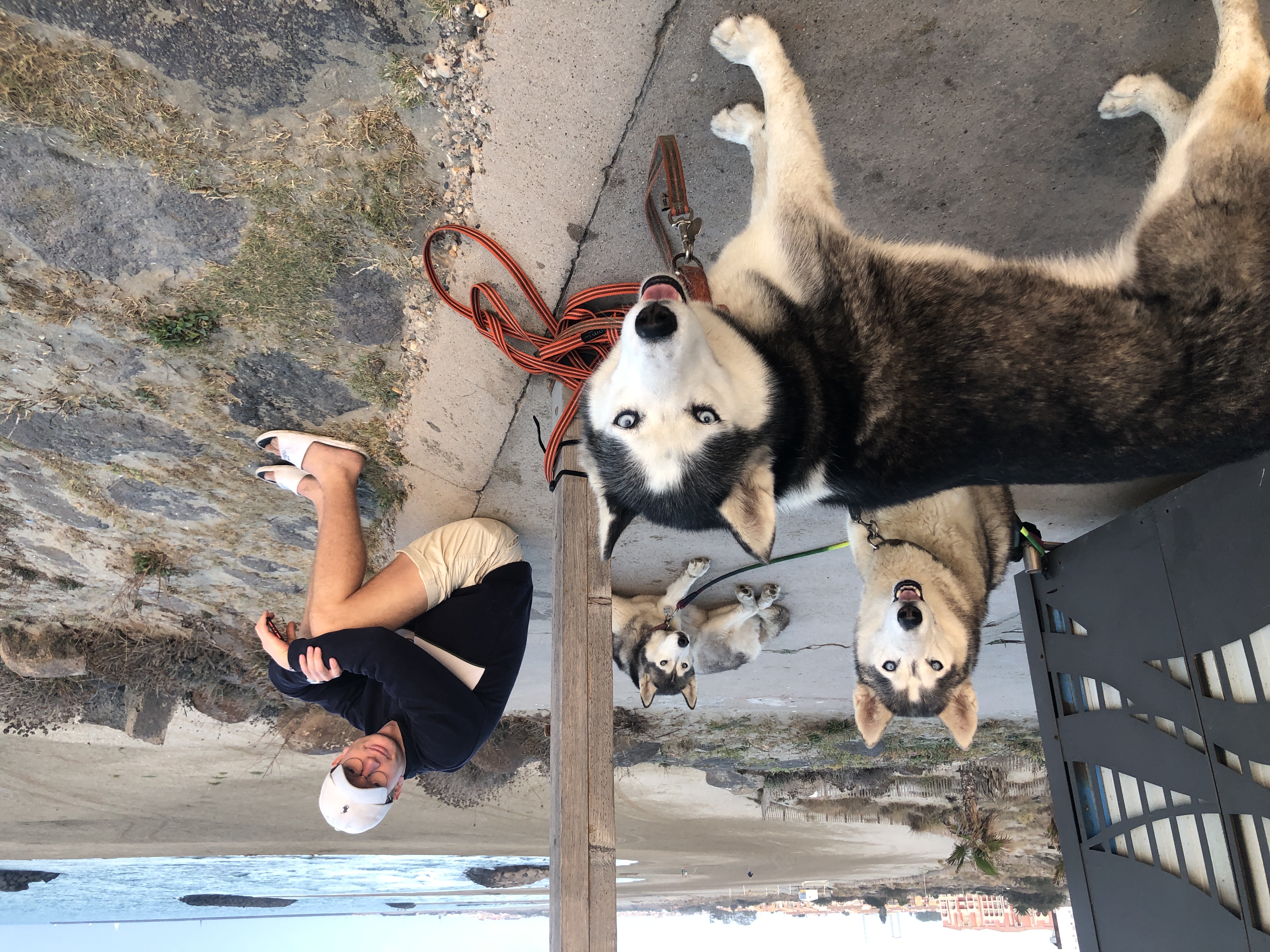 image-8