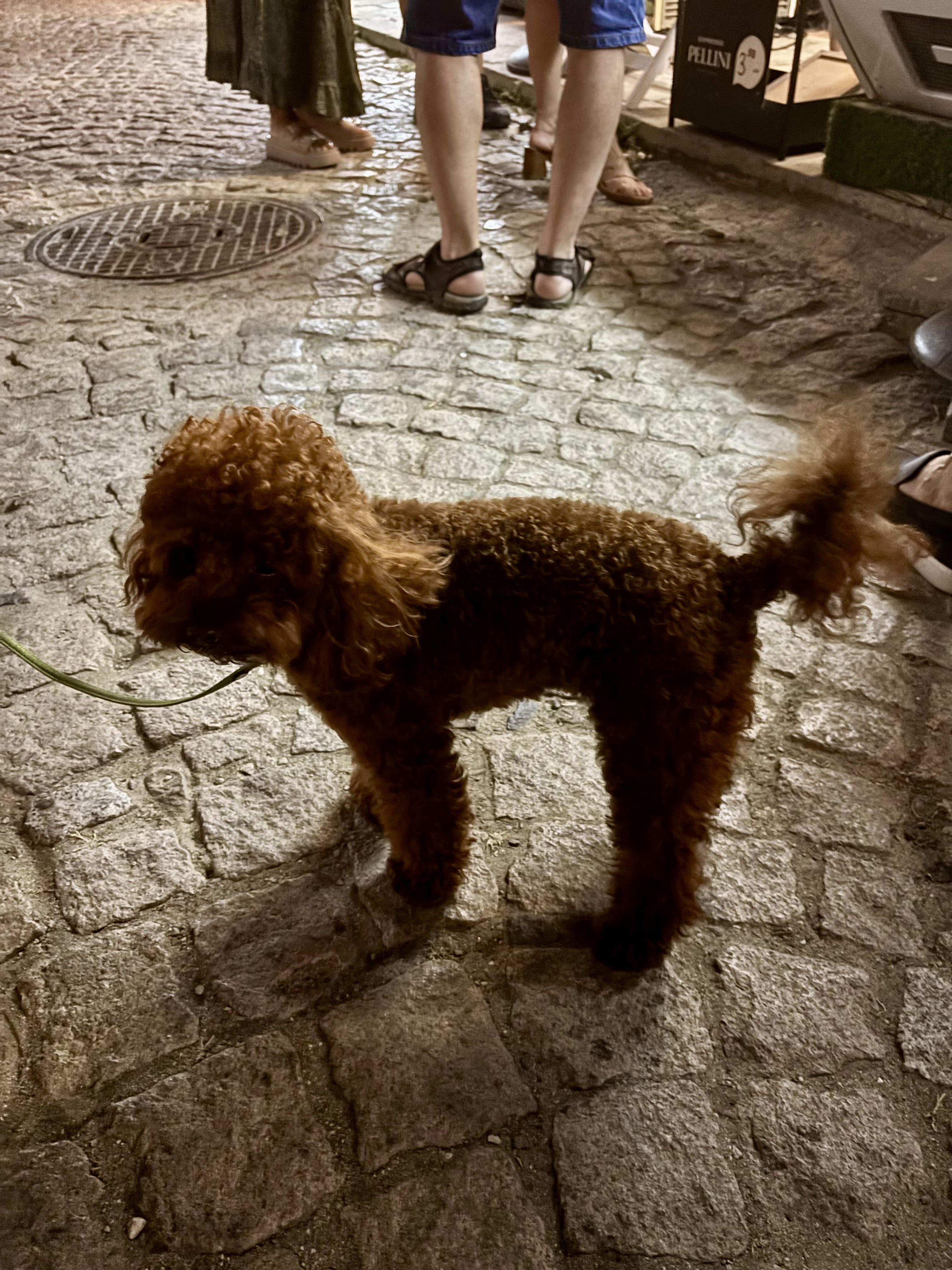 image-12