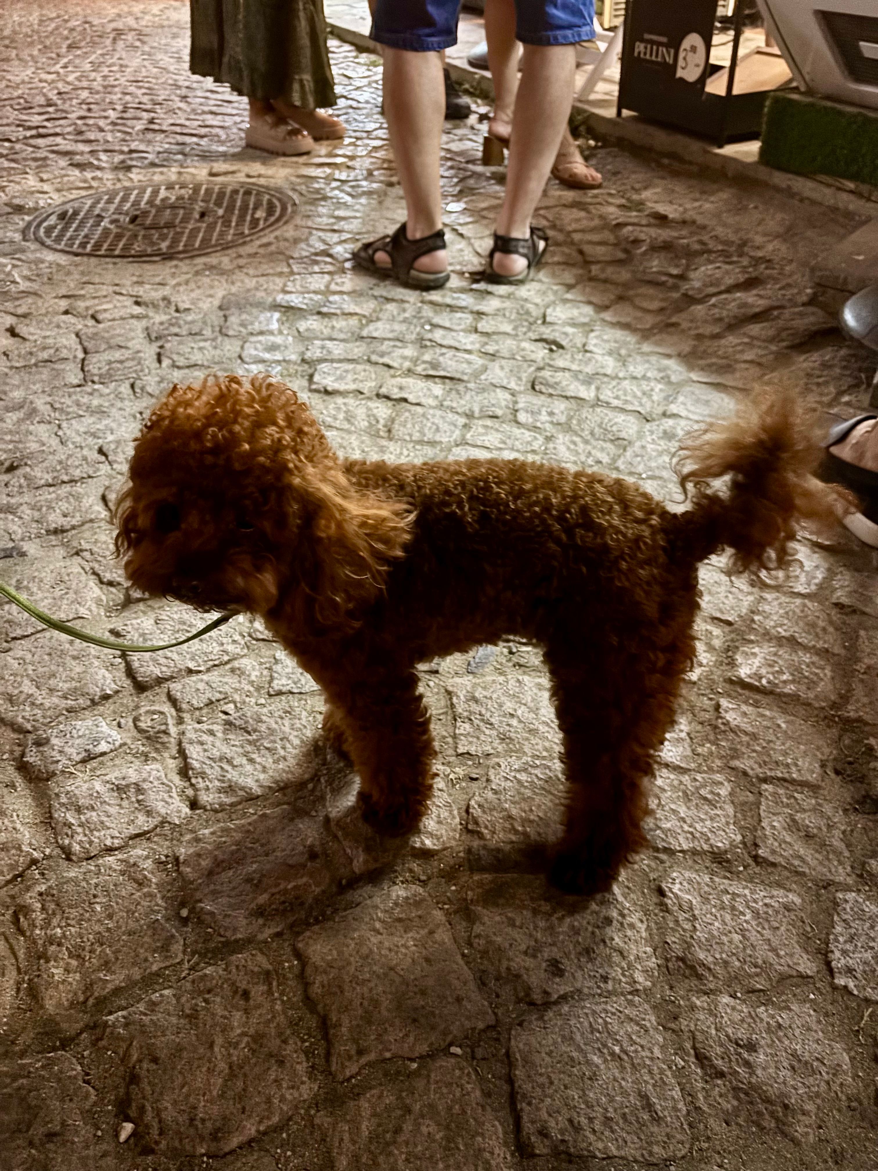 image-12