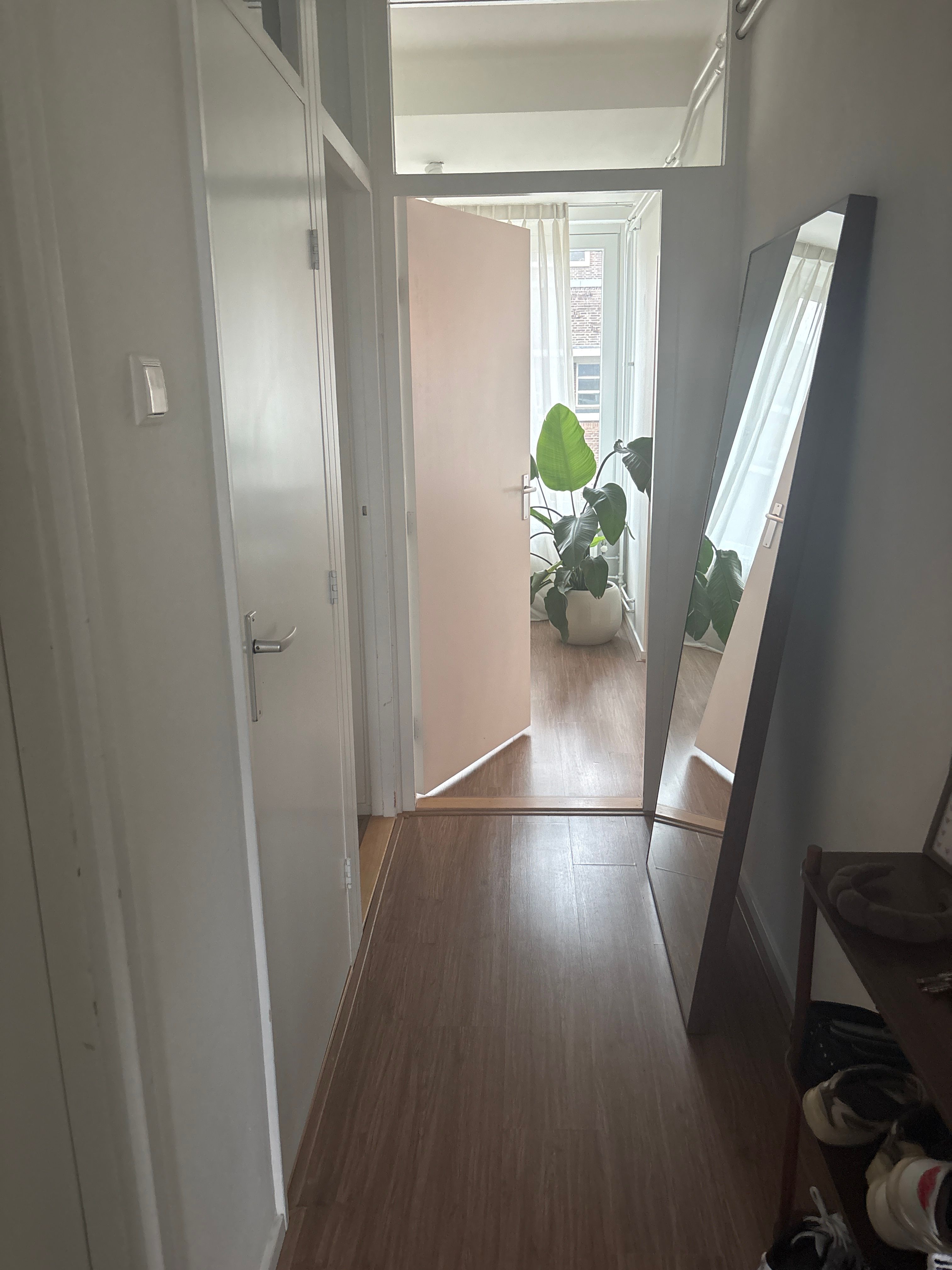 image-19