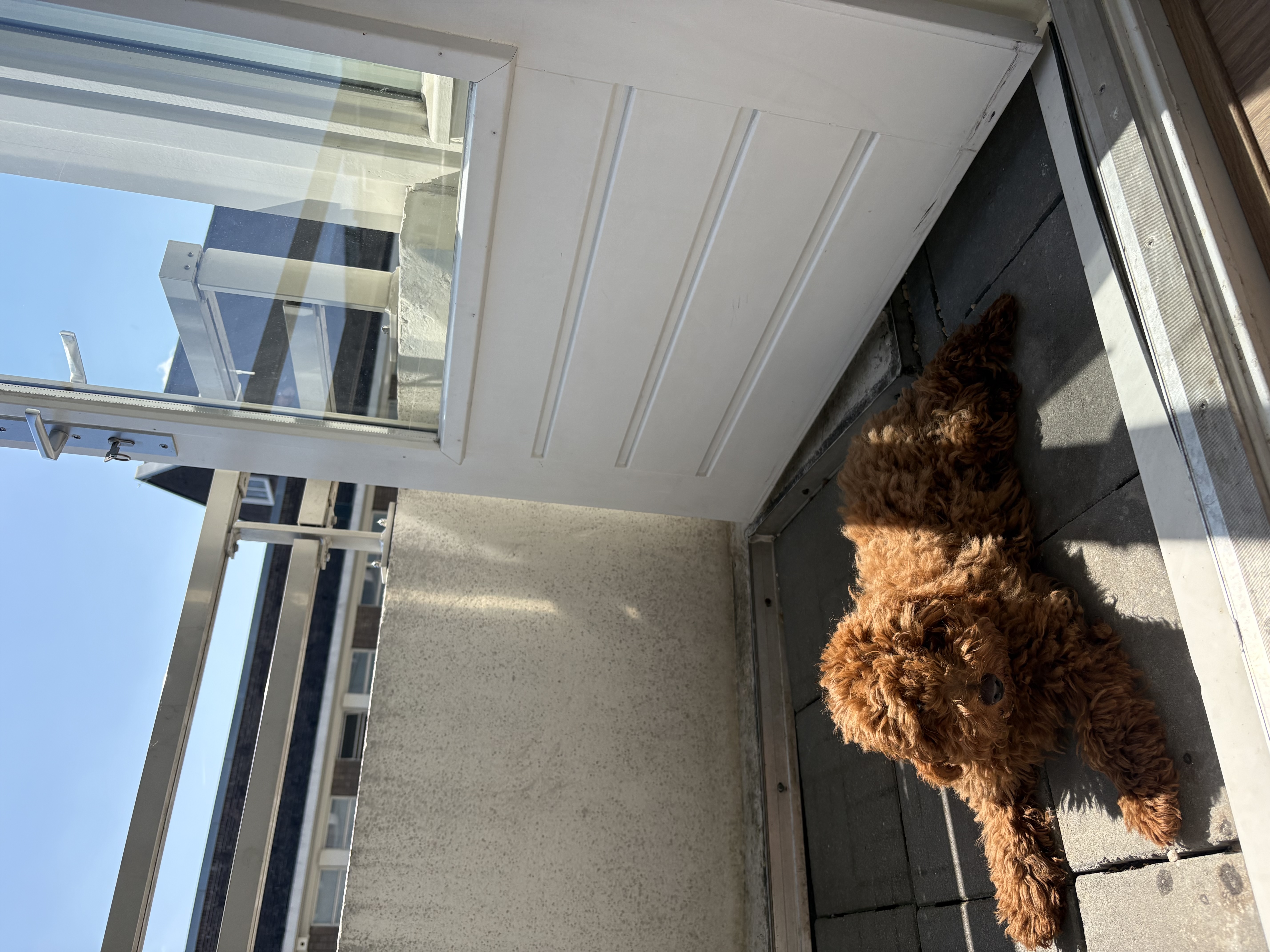 image-8