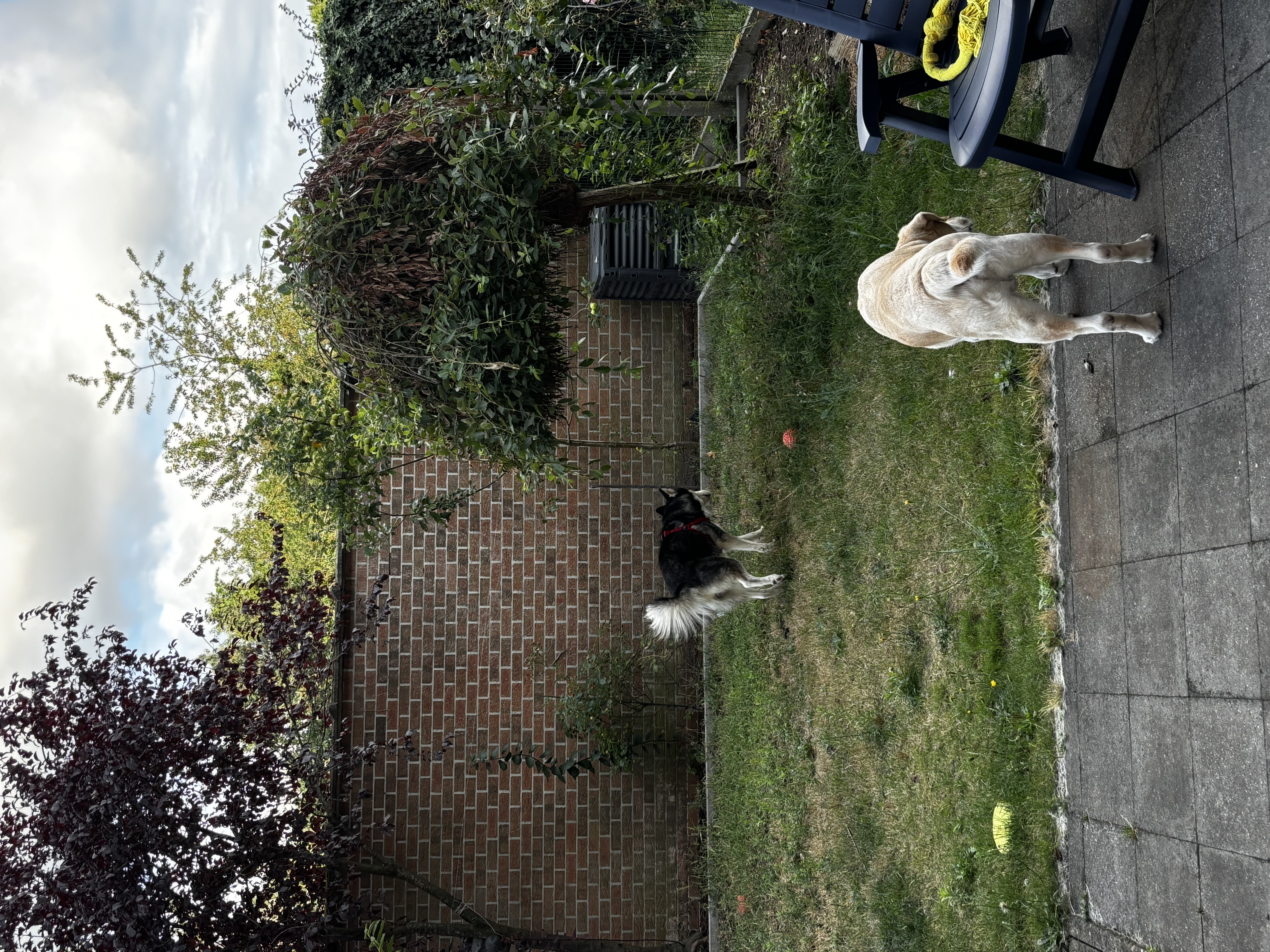 image-18