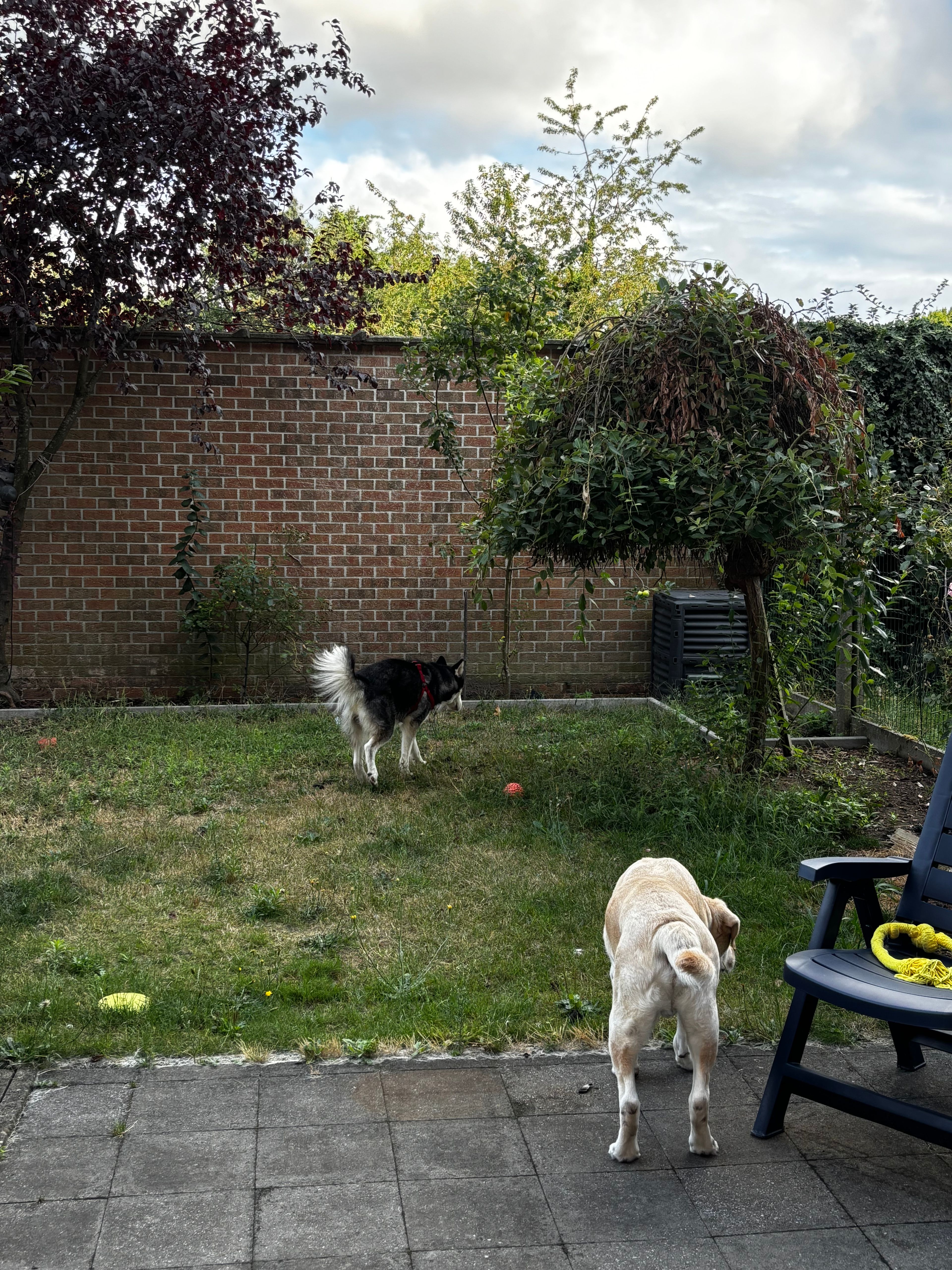 image-18