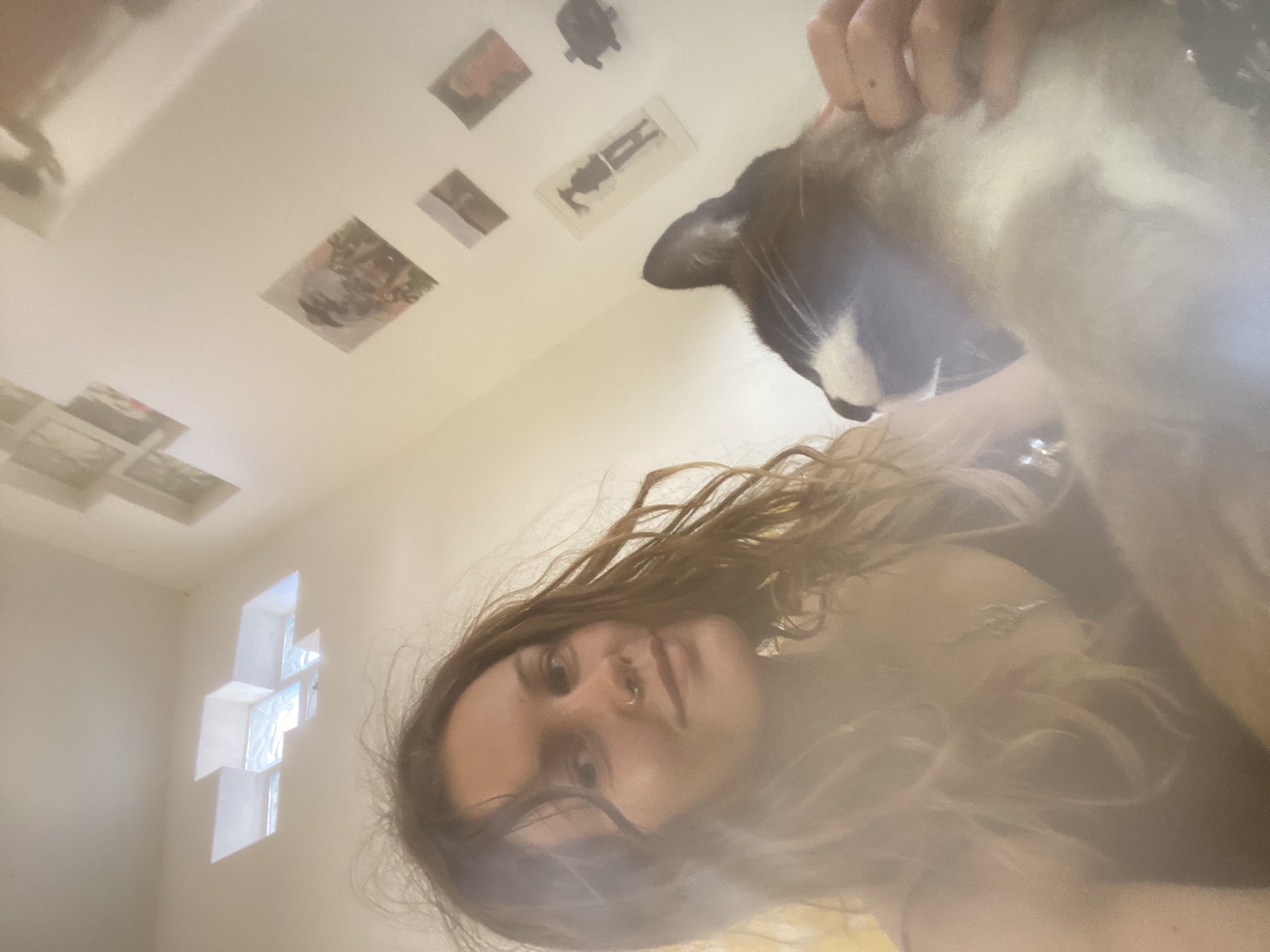 image-17