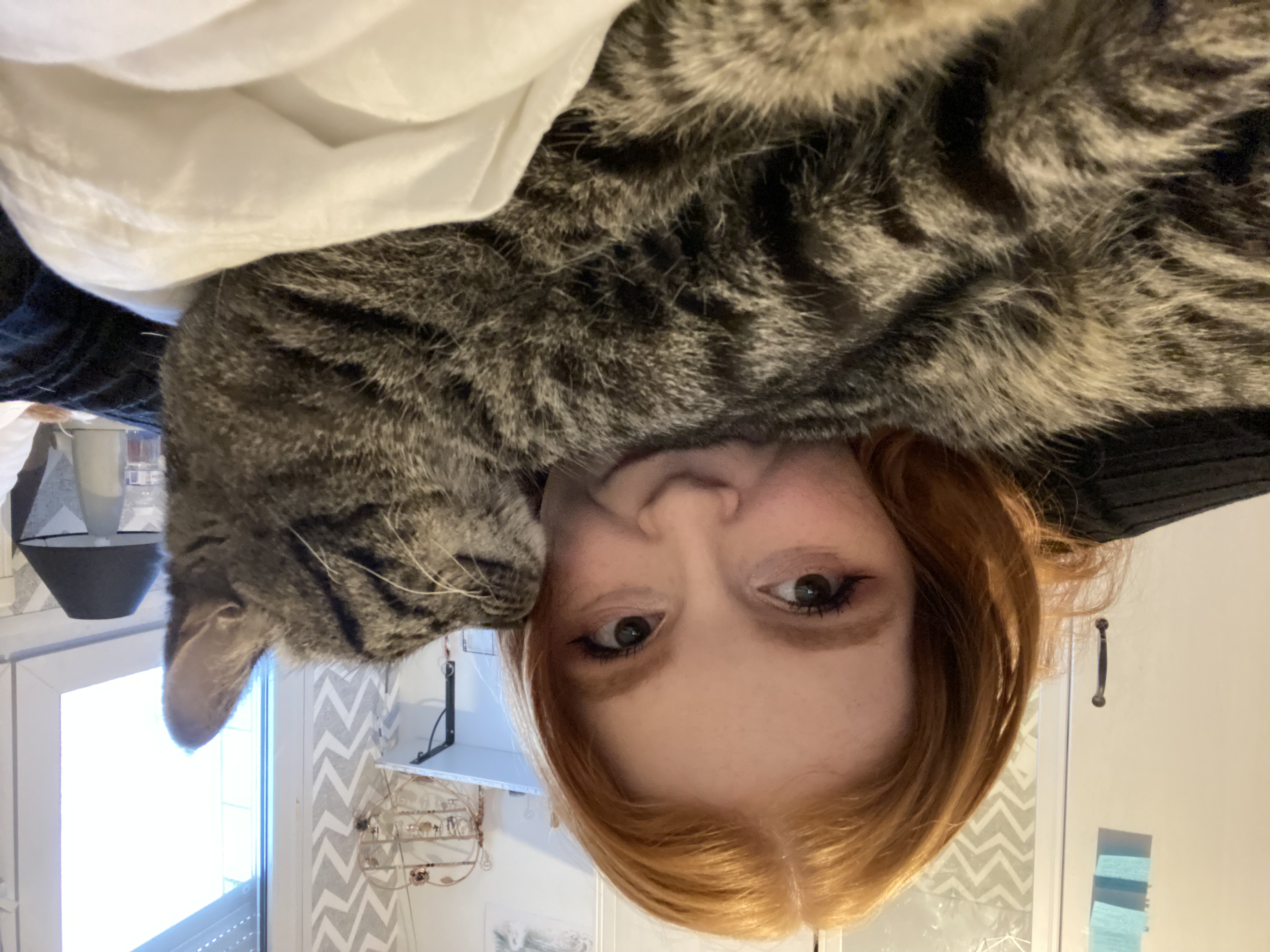image-0
