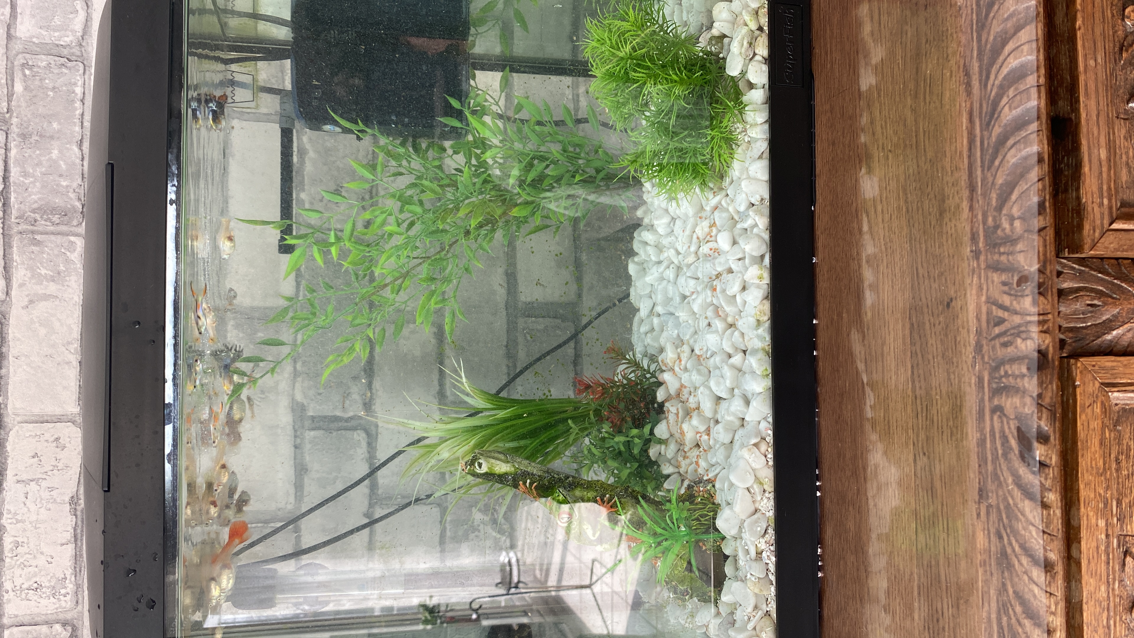image-7