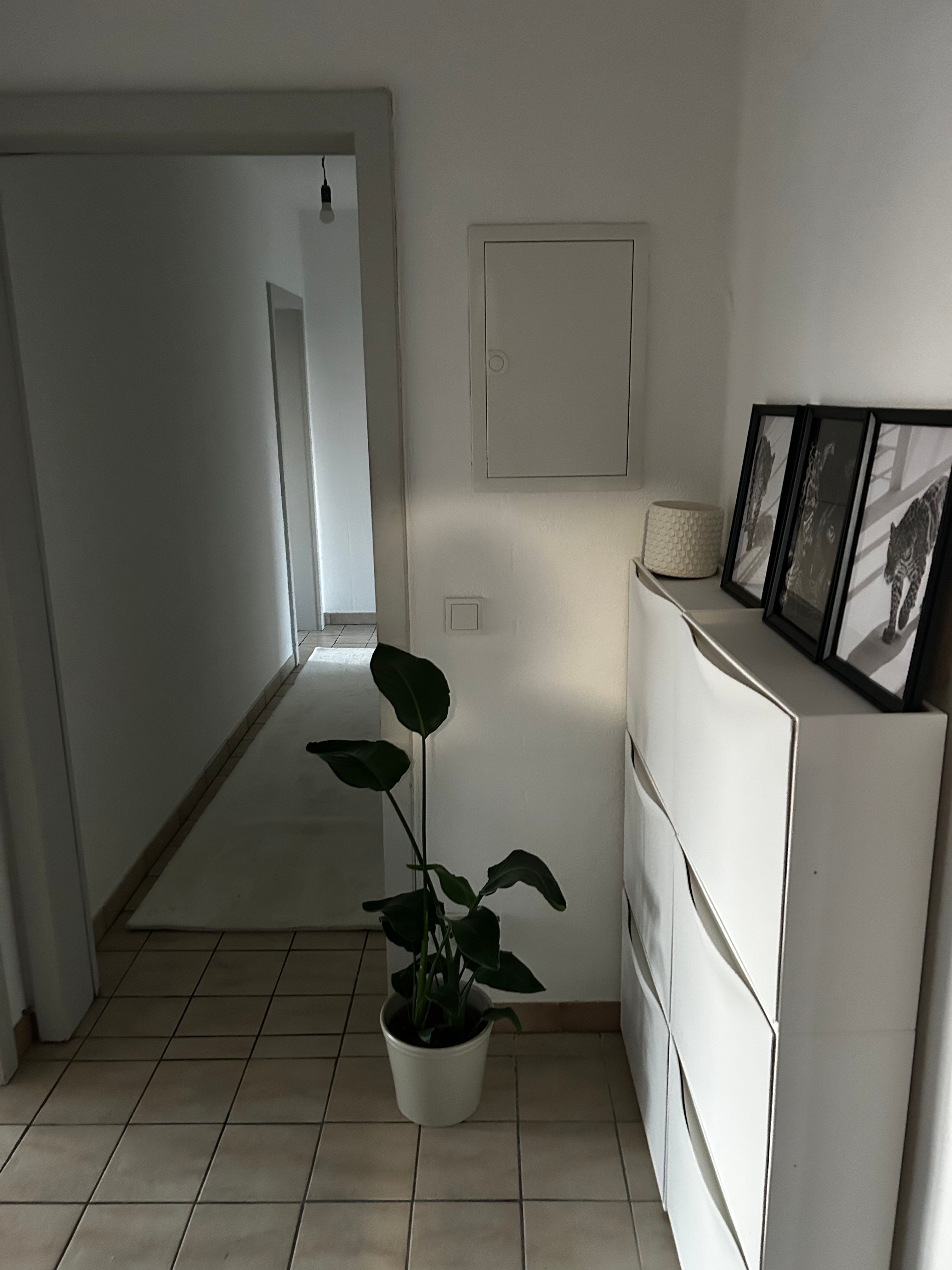 image-19