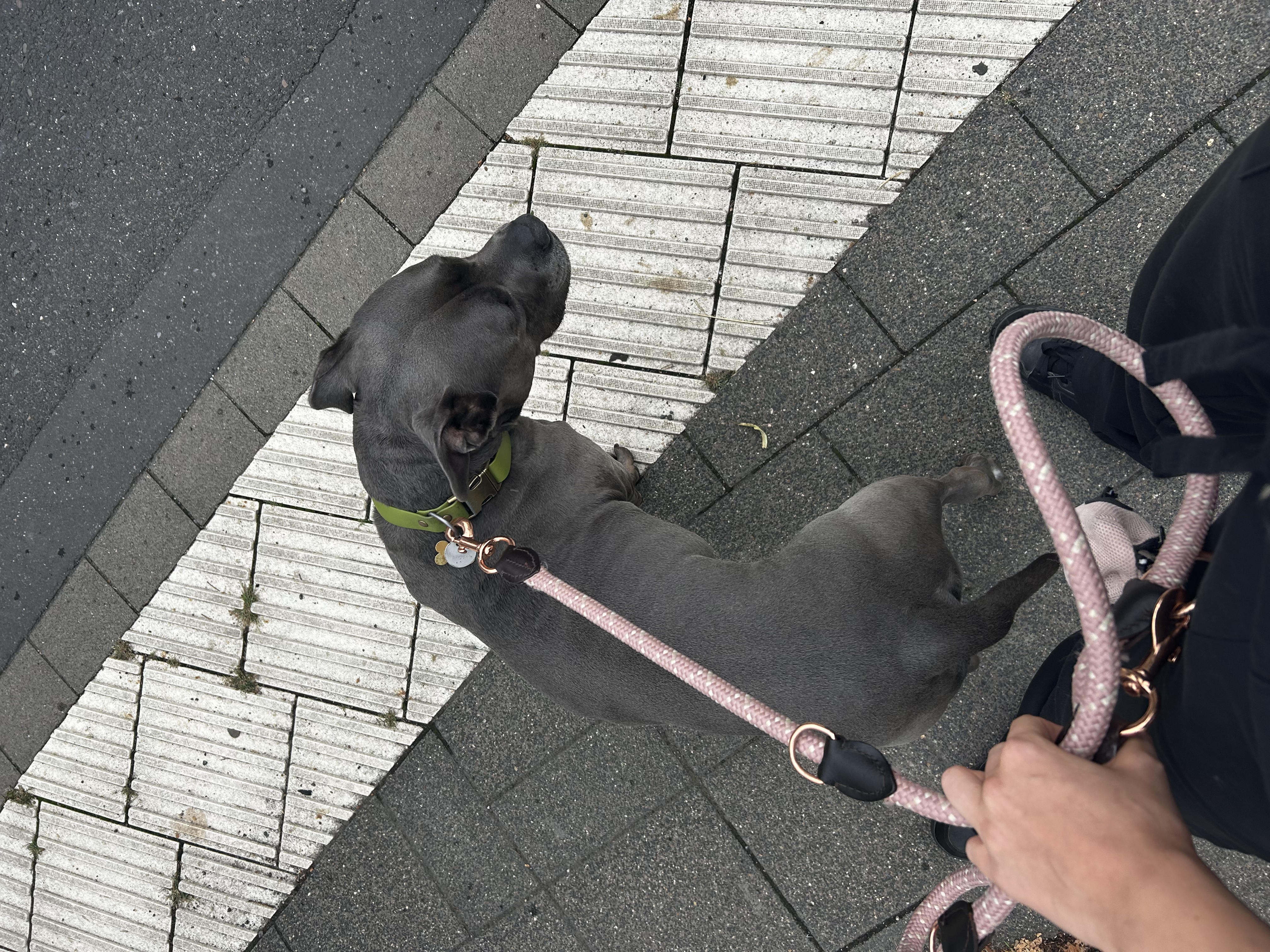 image-19