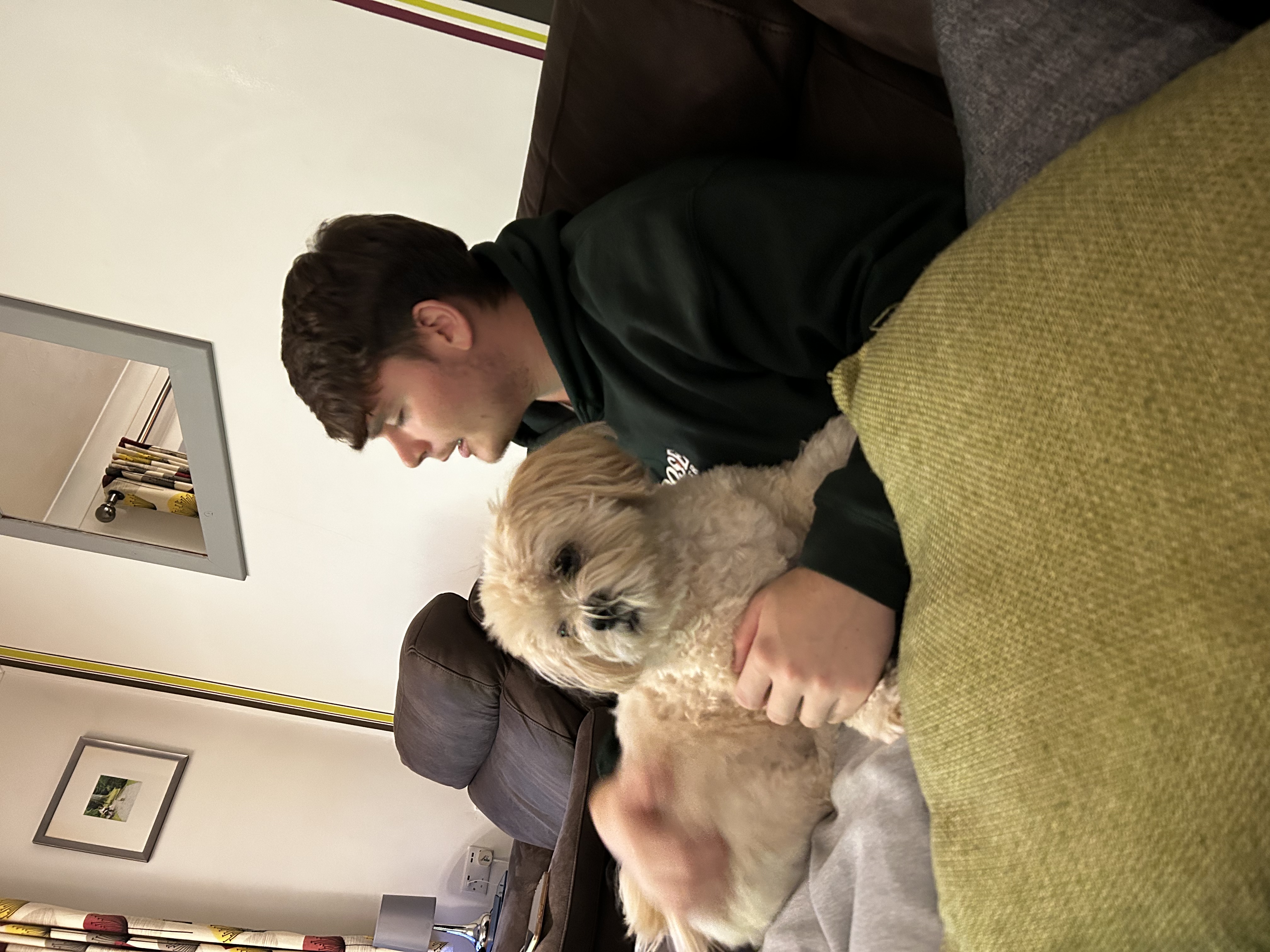 image-5