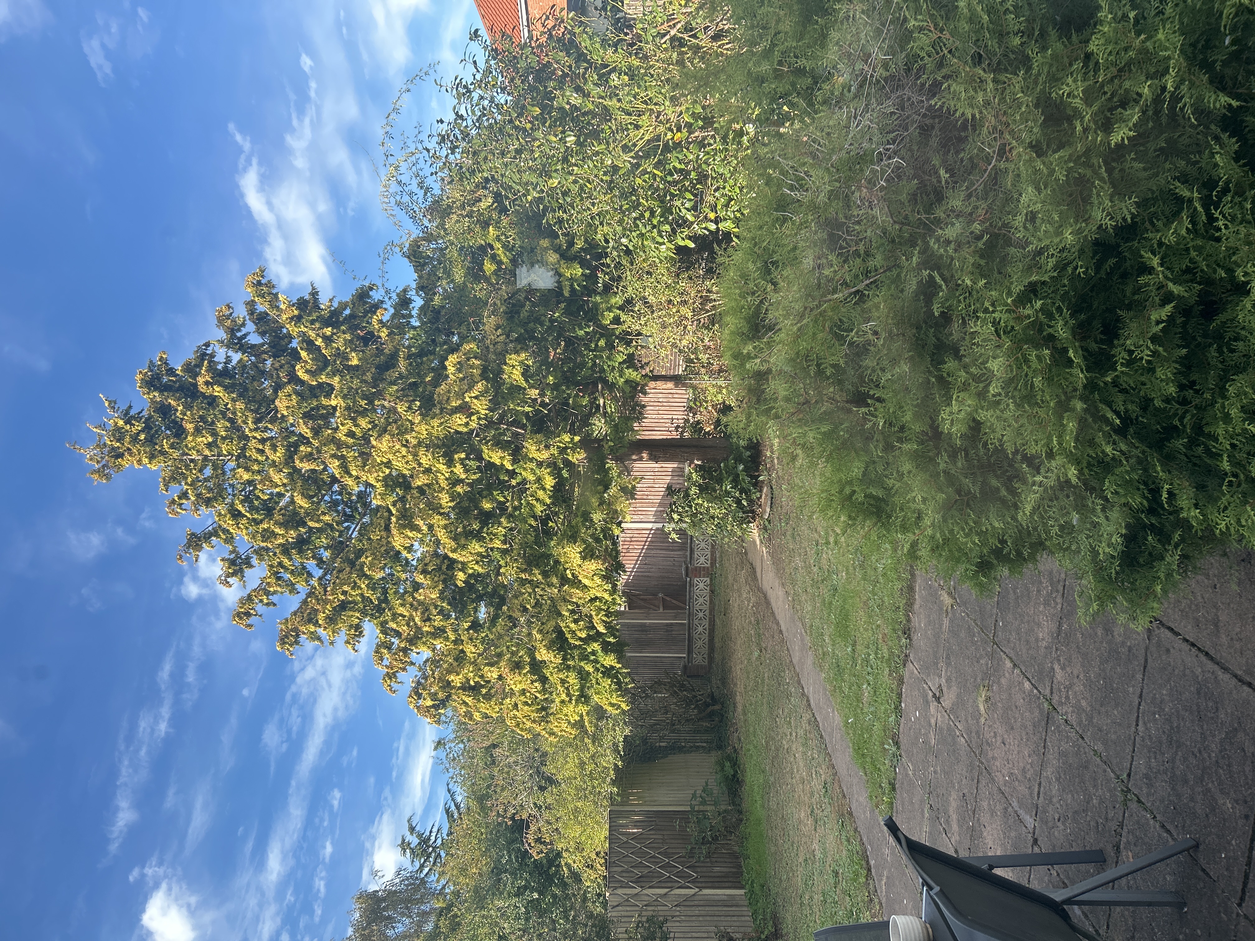 image-20