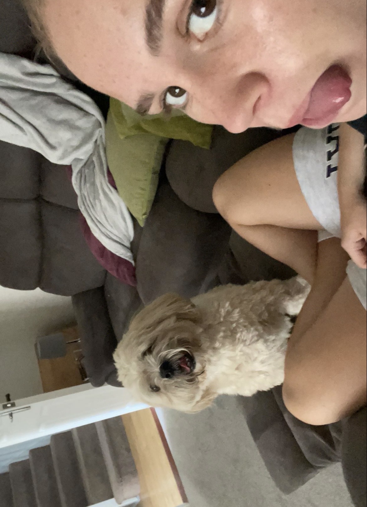 image-11