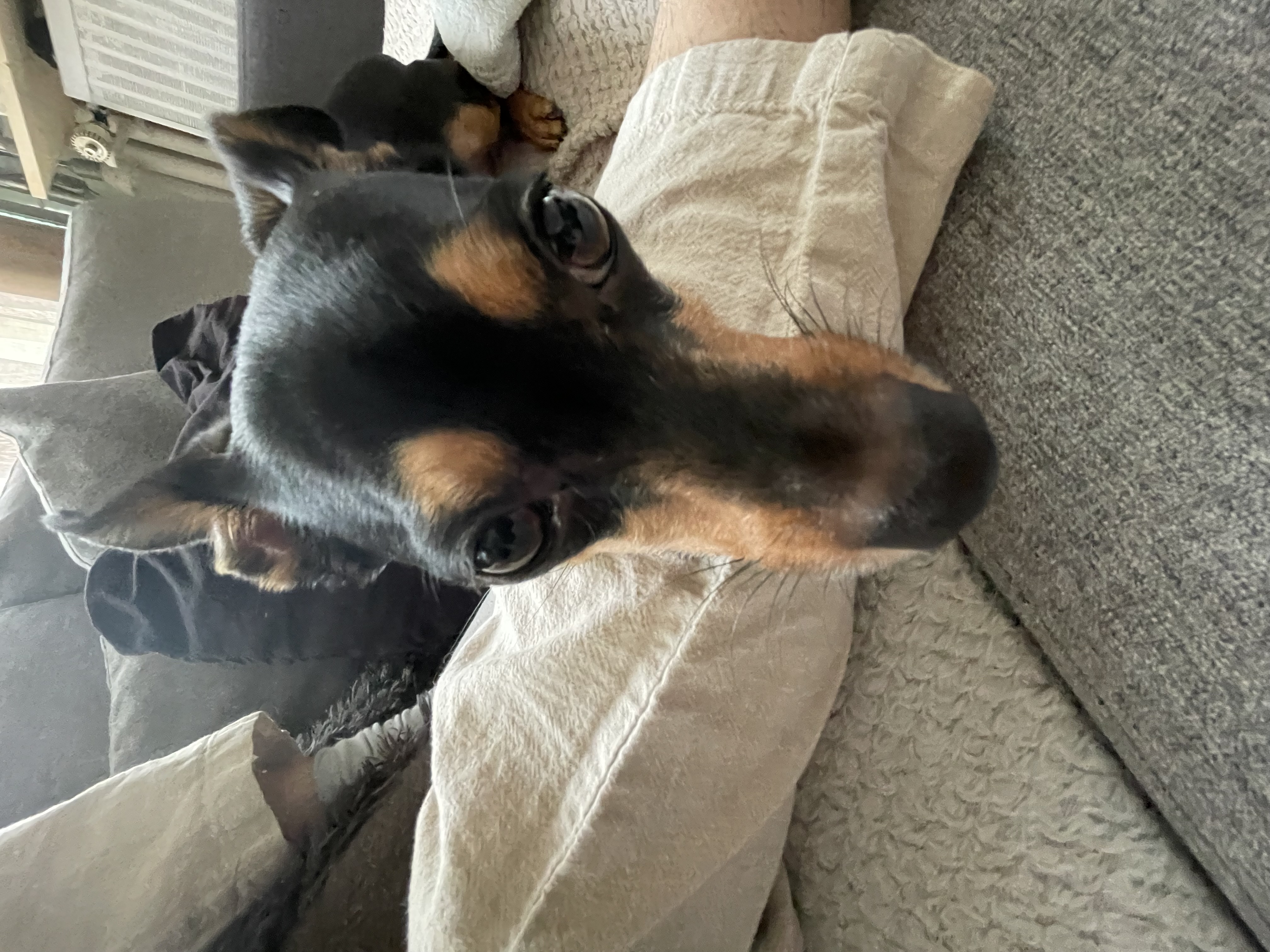 image-7