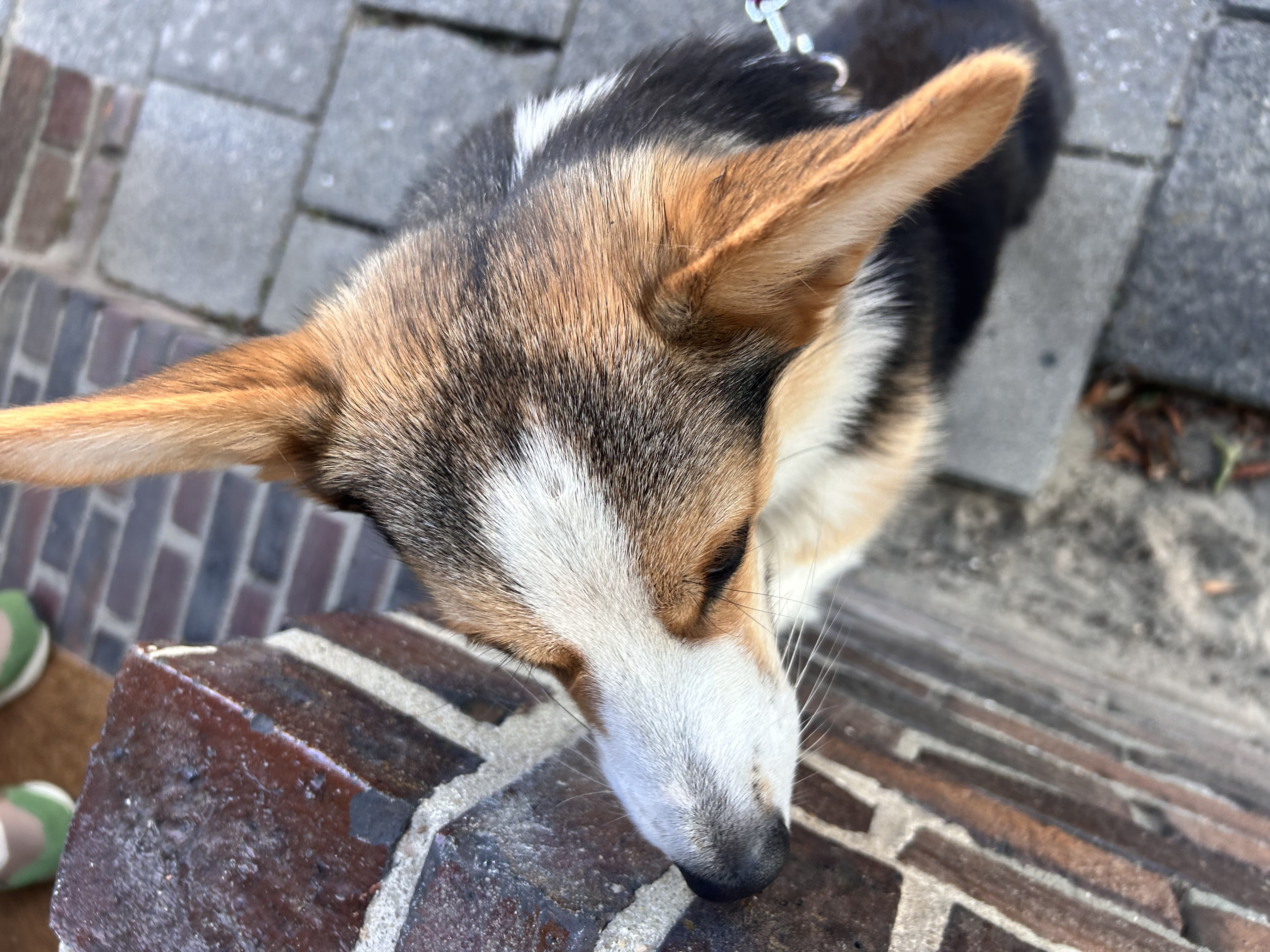 image-8
