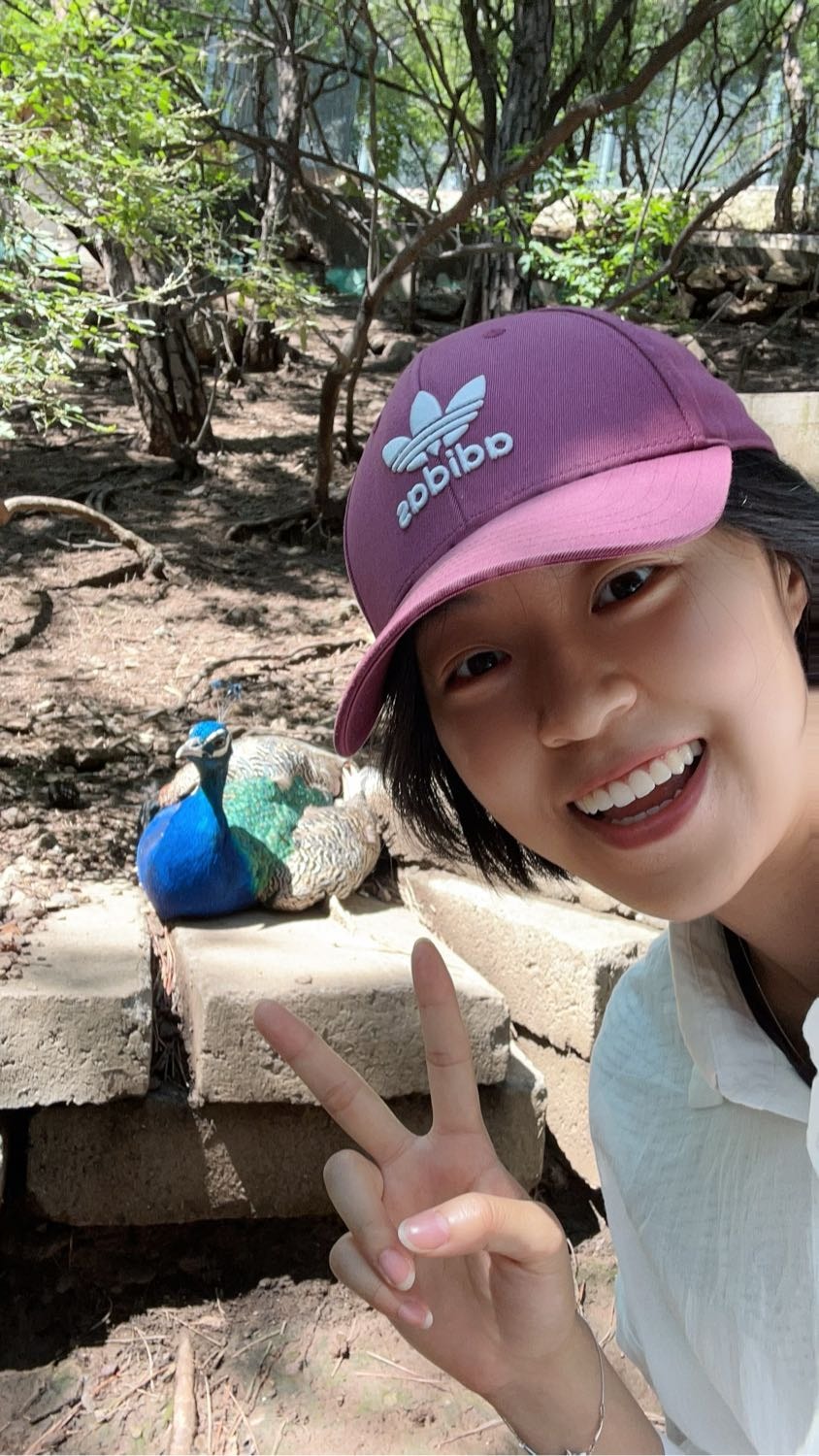 image-3