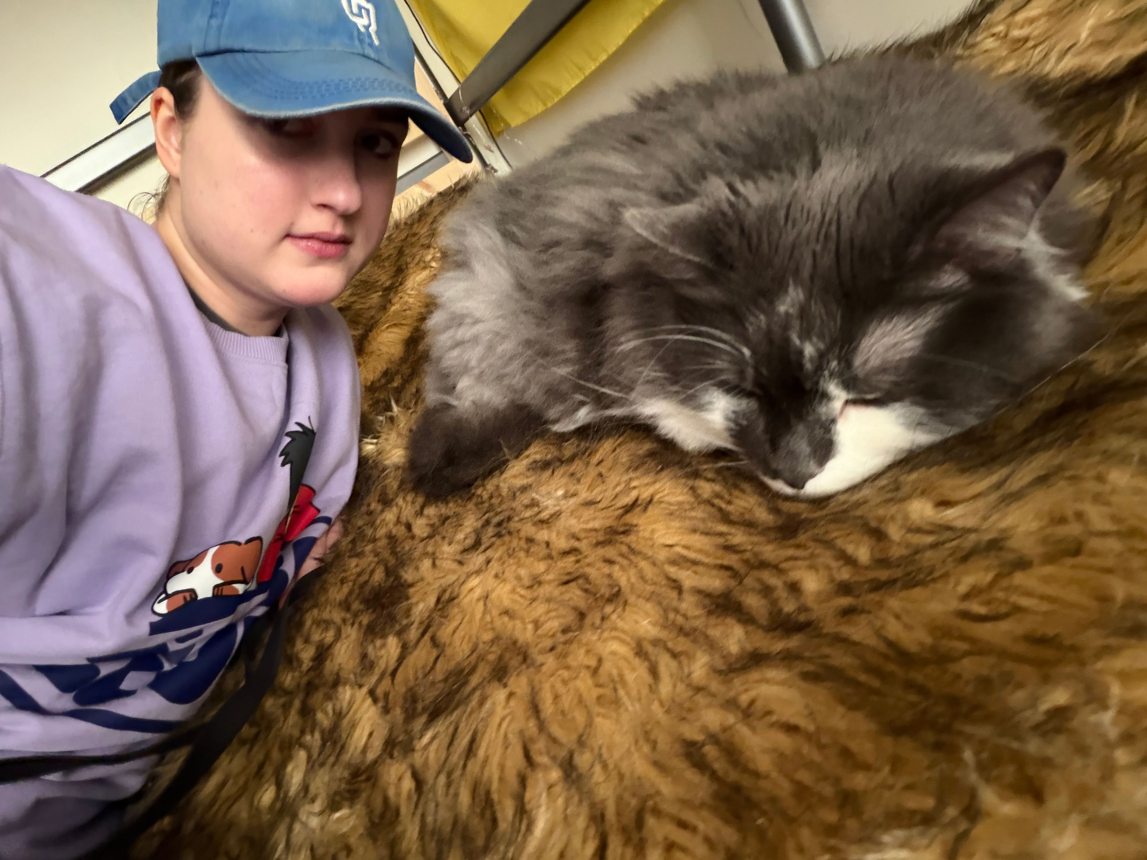 image-6