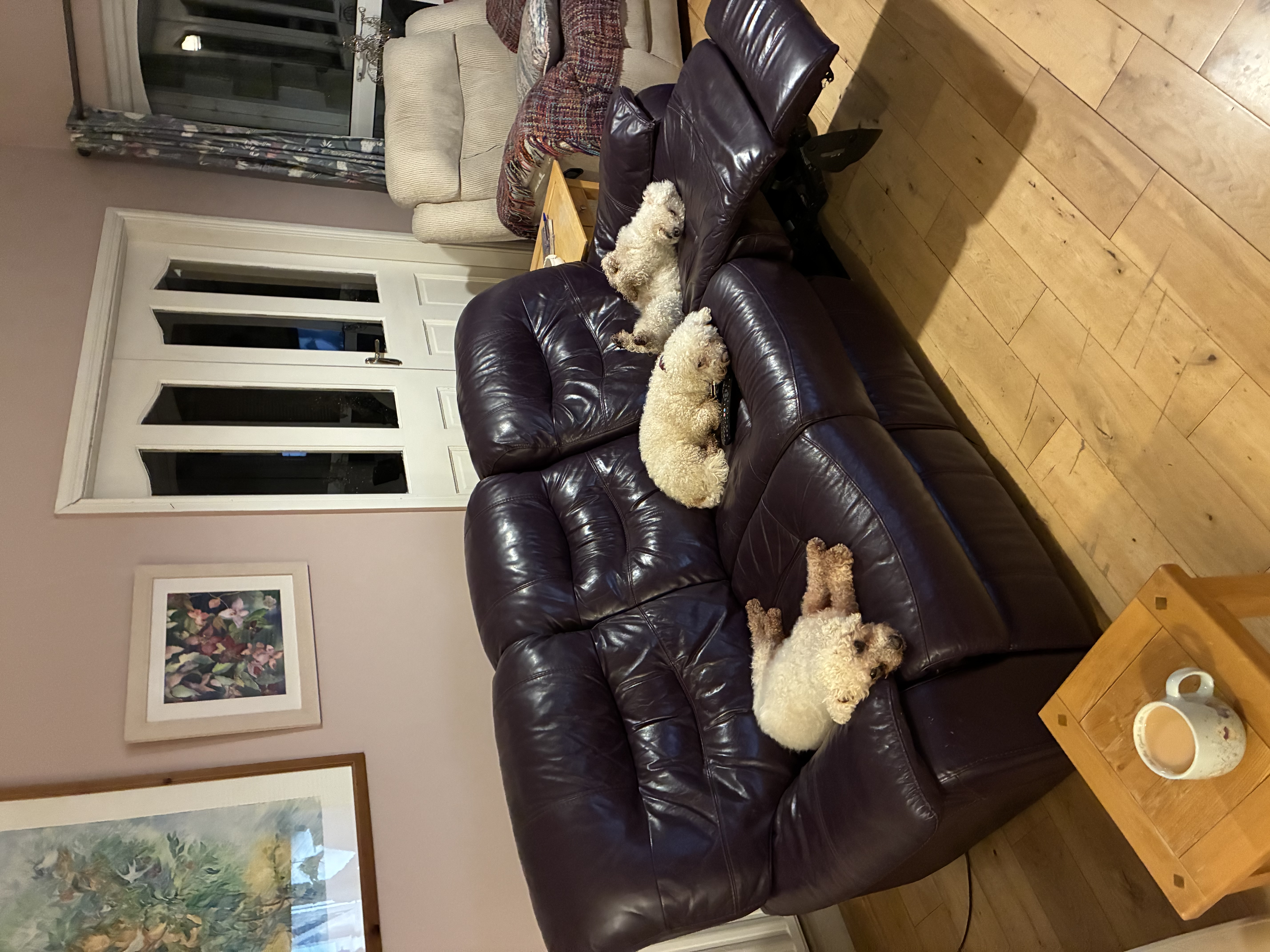 image-13