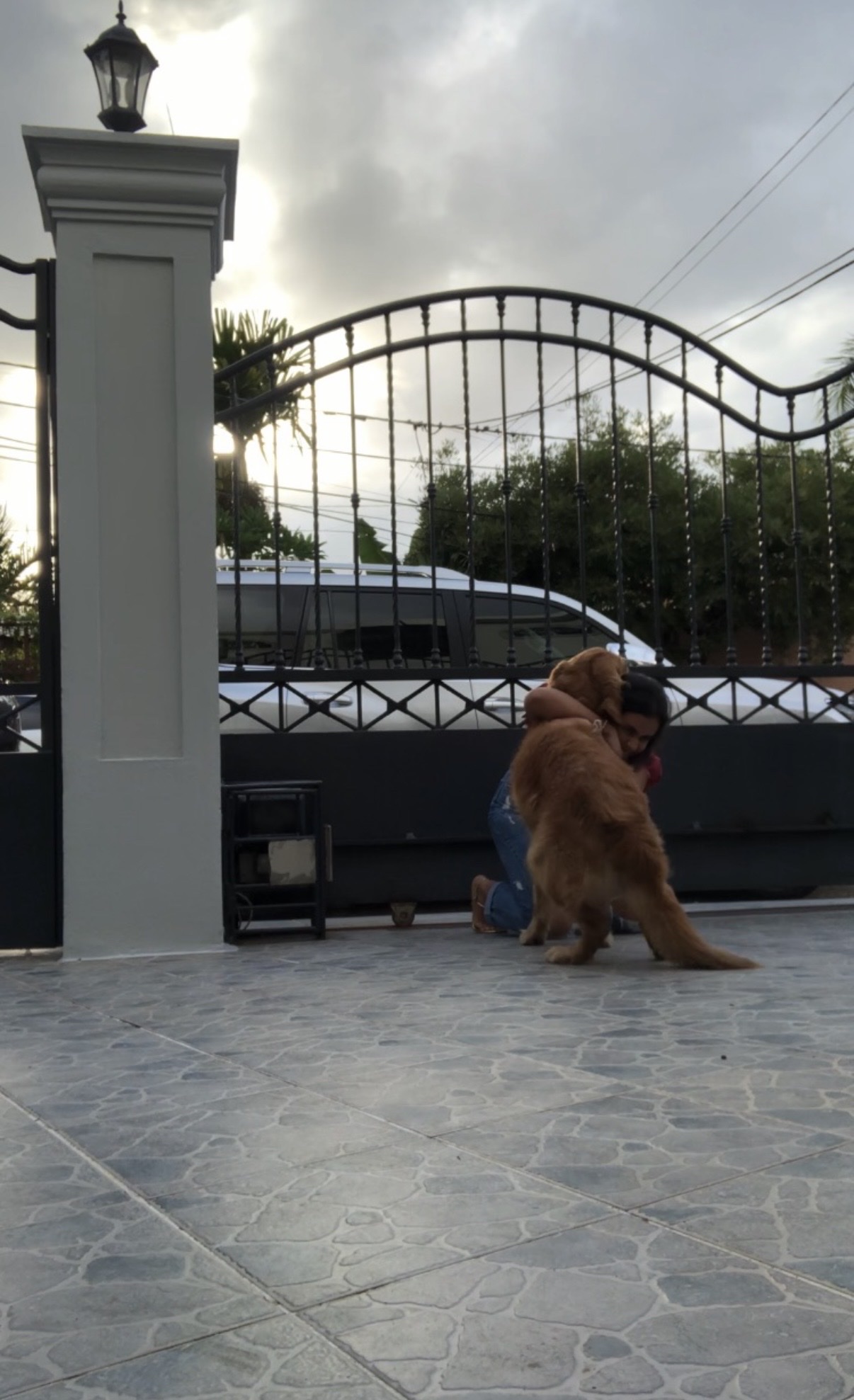 image-7